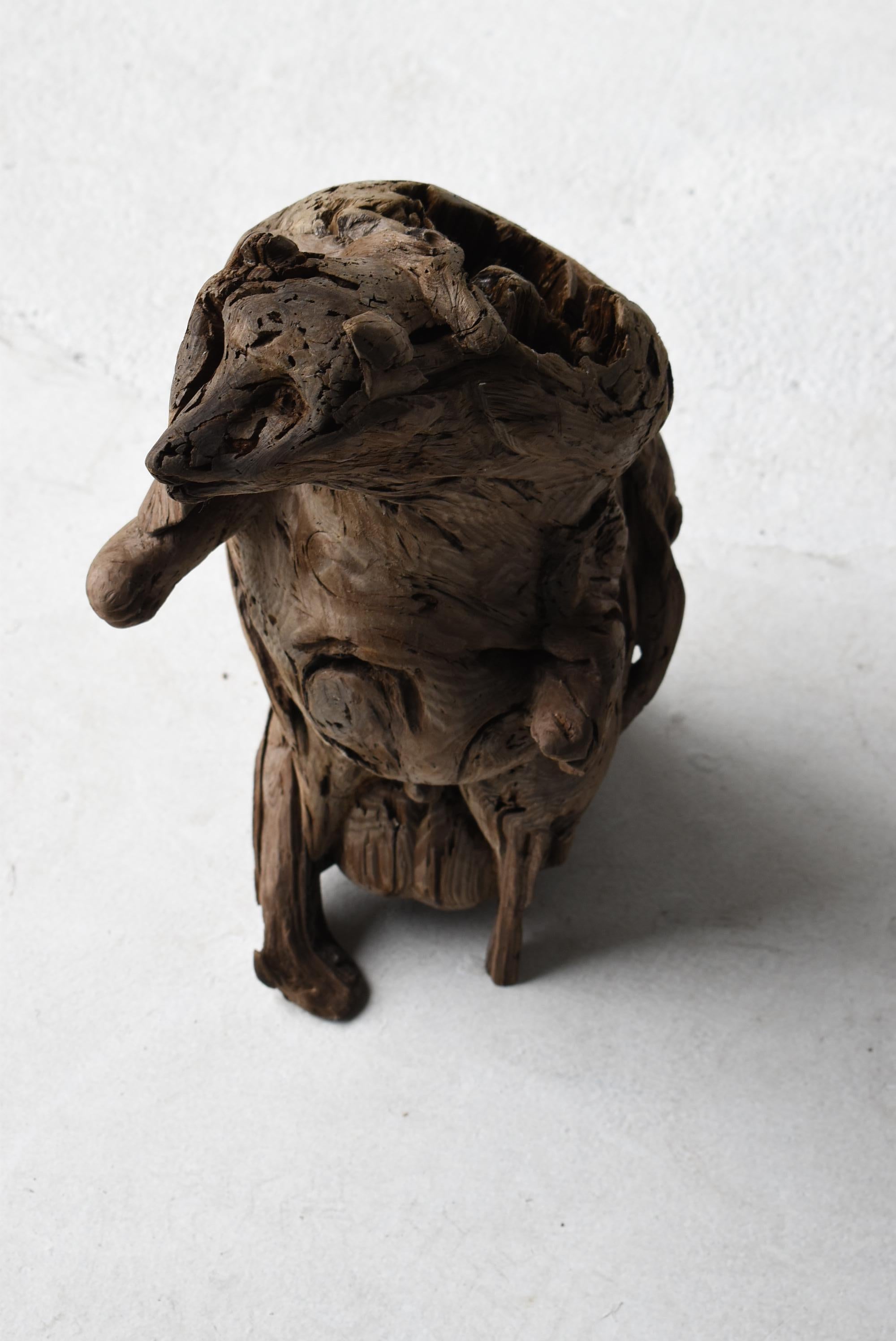 Japanese Antique Wood Carving Raccoon Dog 1900s-1940s / Sculpture Wabisabi 9