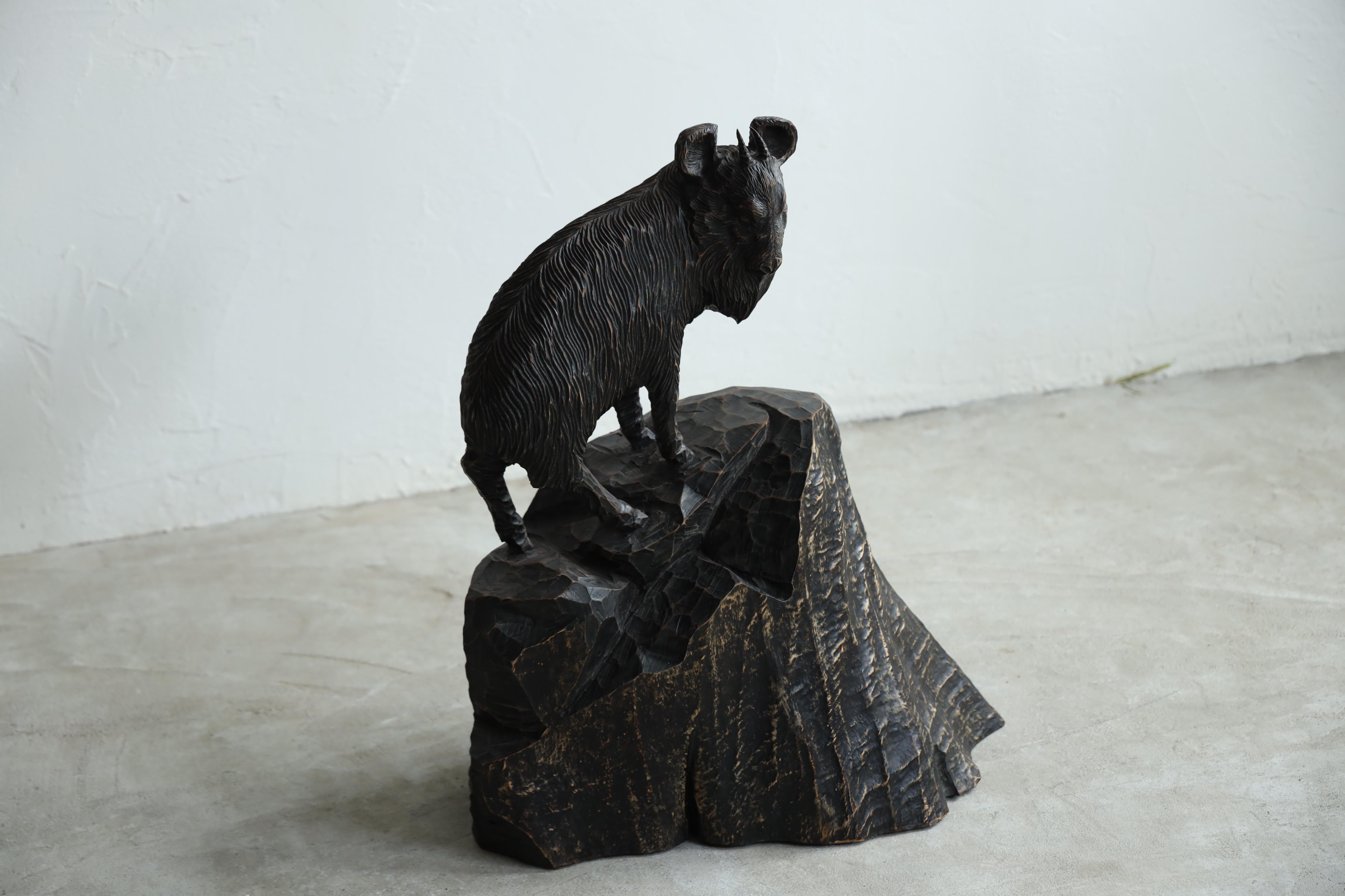 This is an extremely valuable hand-carved wood sculpture of a Japanese serow.

This is a piece that highlights the artisan's outstanding techniques, and while most are natural and unpainted, this one is painted black, giving it a chic and