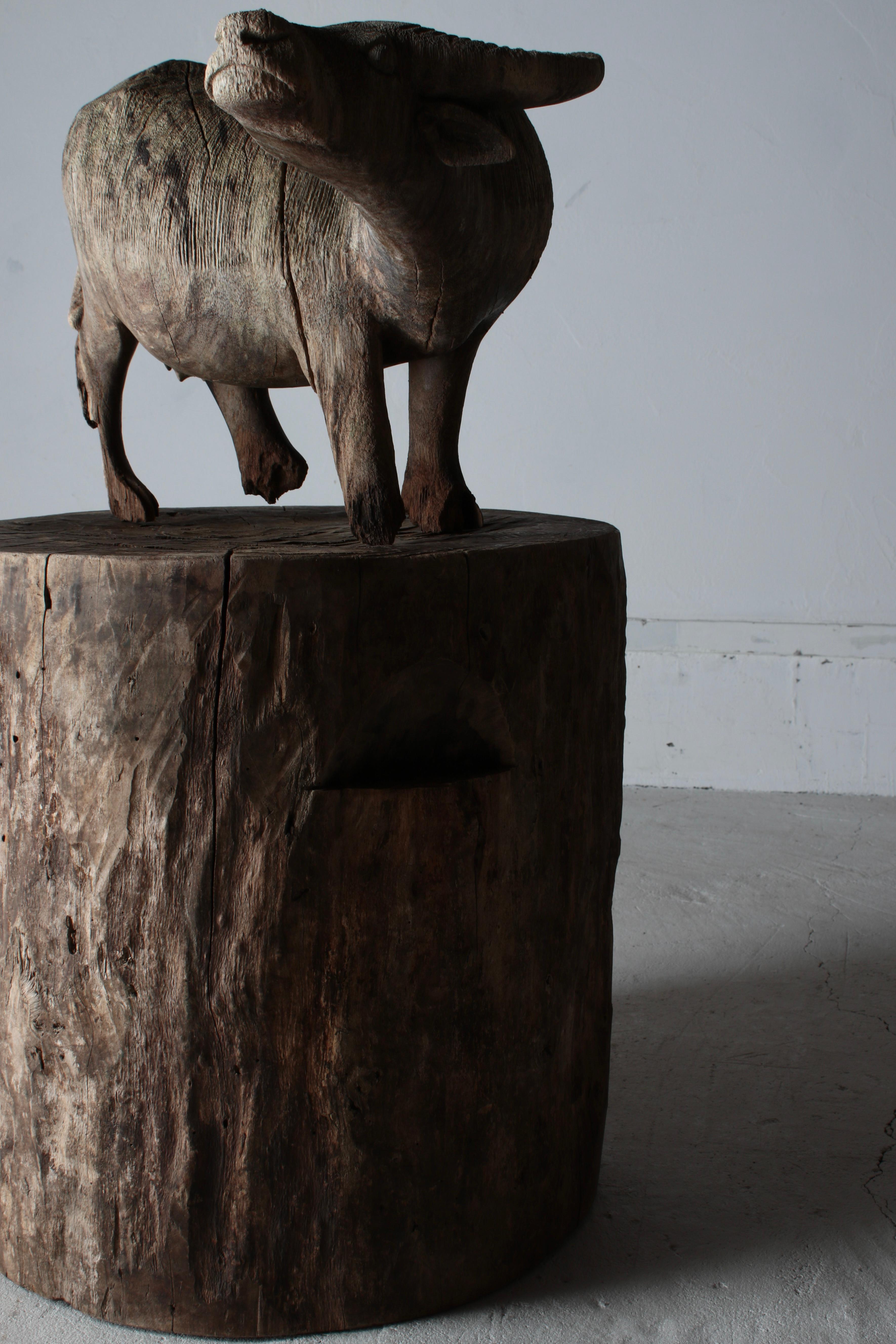 Antiker japanischer antiker Holz-Couchtisch / Beistelltisch / Wabi-sabi Rustikaler Couchtisch 10