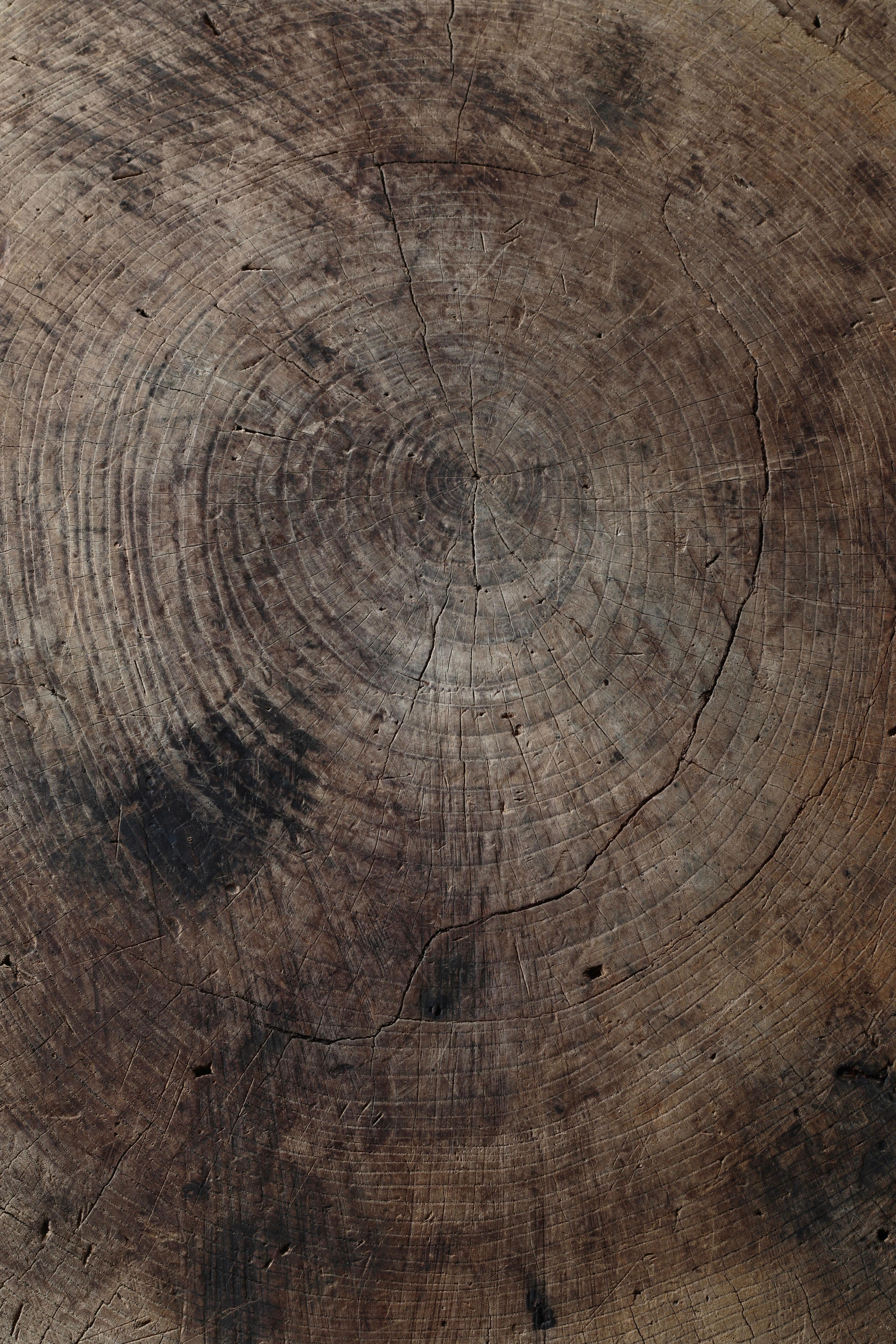 Table basse japonaise ancienne / Table d'appoint / Wabi-sabi Primitive Bon état - En vente à Iwate-gun Shizukuishi-cho, Iwate Prefecture