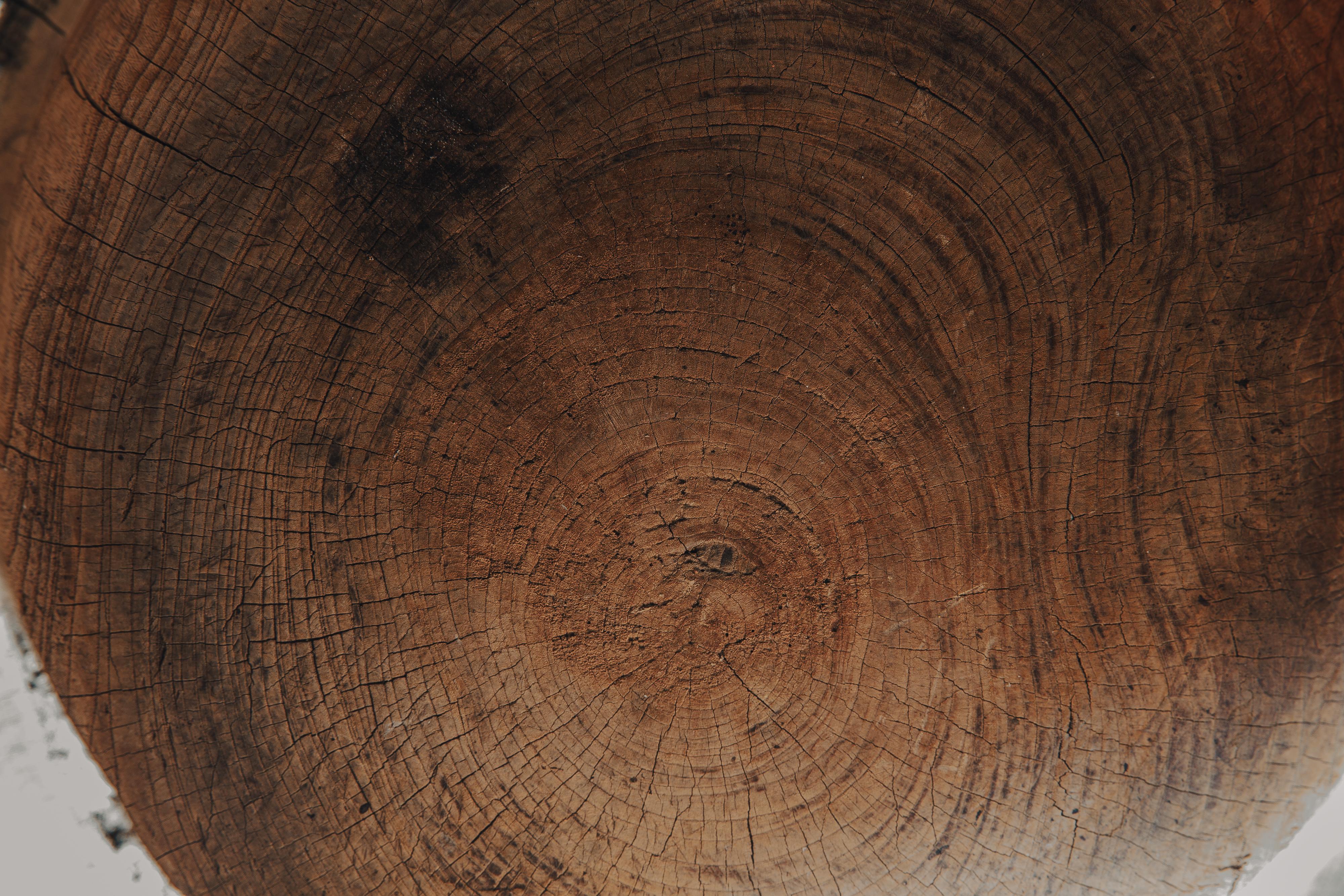 Japanese antique wooden mortar. side table or coffee table. wabi sabi For Sale 6