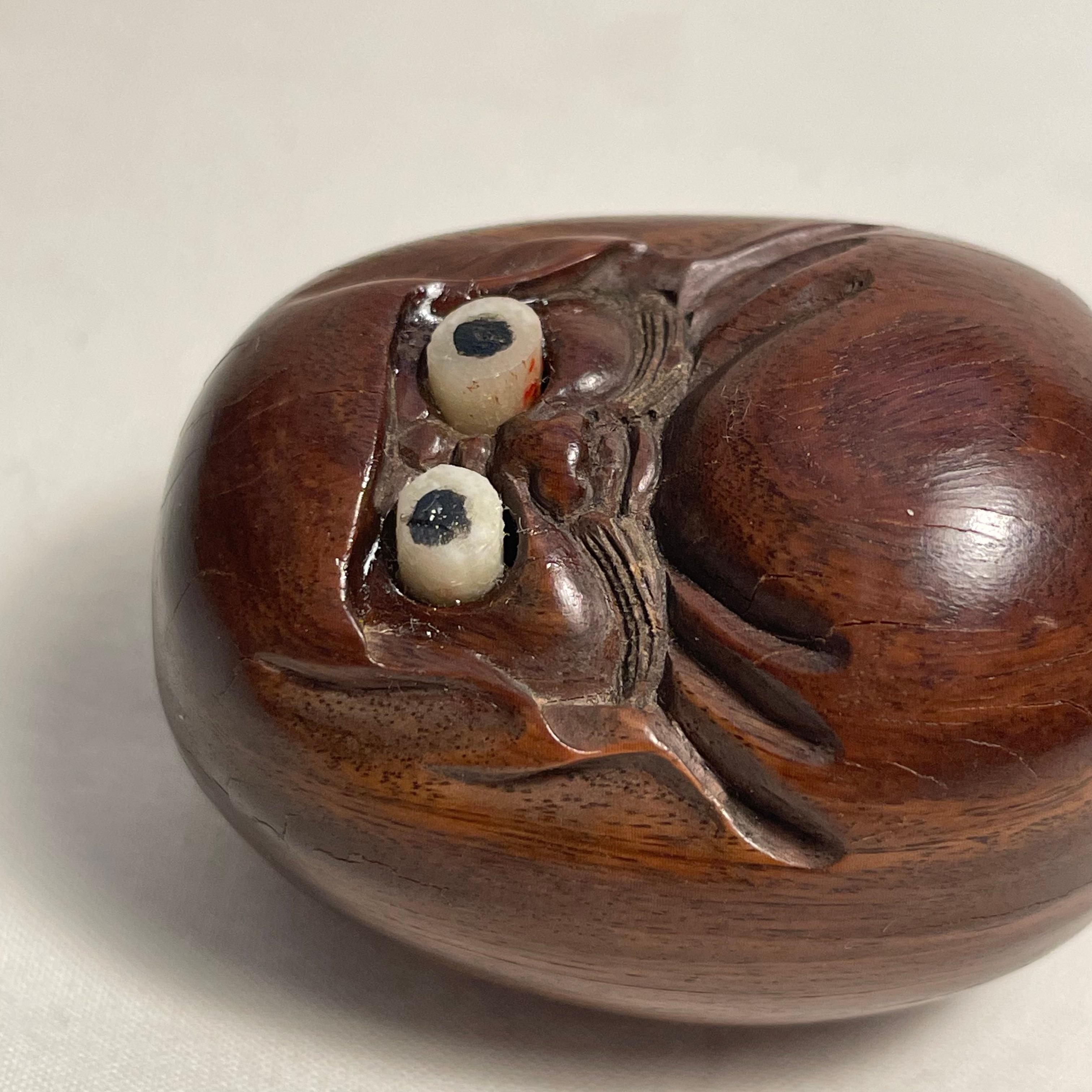 Netsuke Daruma japonais ancien en bois des années 1920, ère Taisho 1