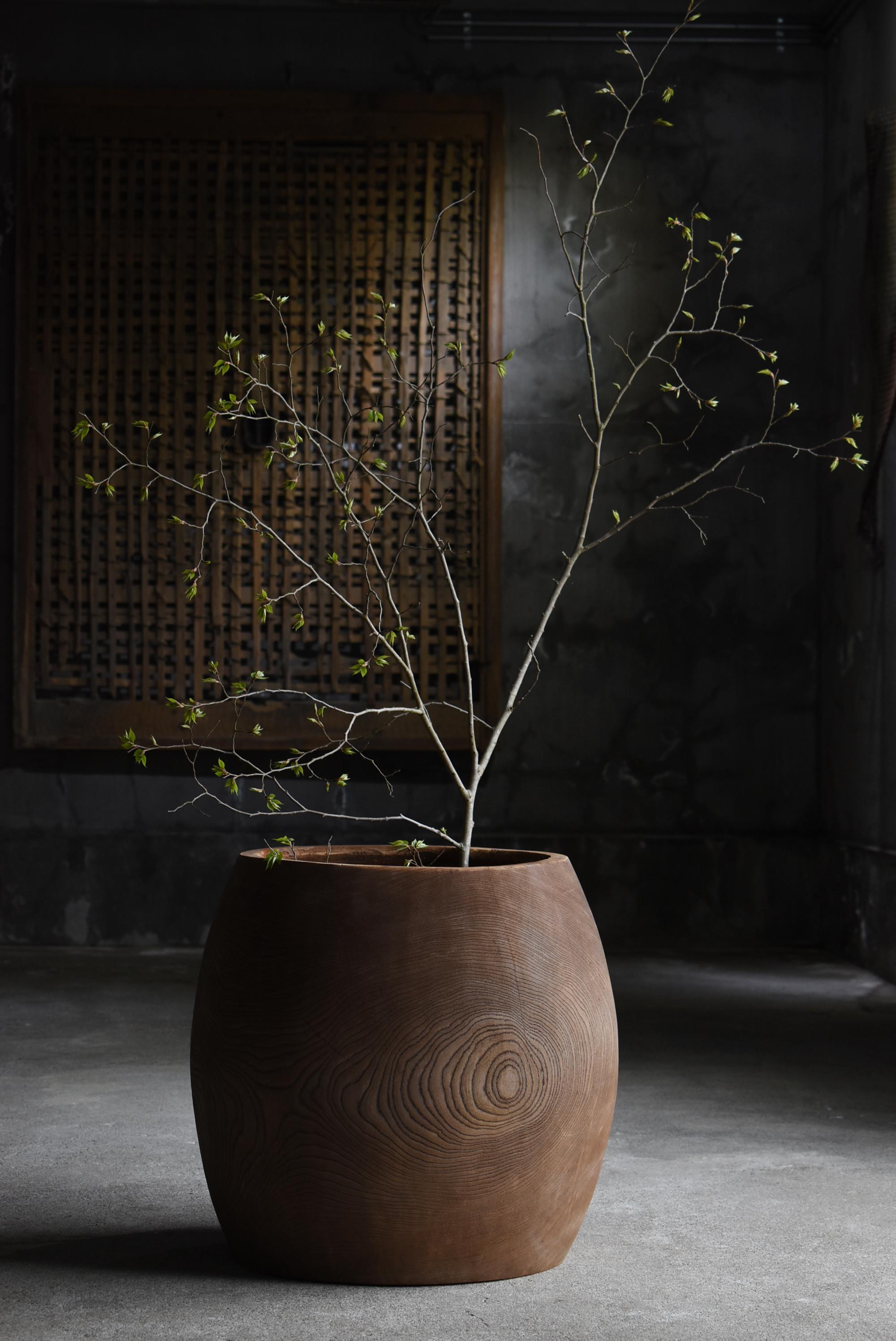 Il s'agit d'un très ancien cache-pot fabriqué au Japon.
Il date du début de la période Showa (années 1920-1940).
Il est sculpté dans un grand arbre zelkova.

Il est sculpté à la main et fabriqué avec soin.
Le plus beau, c'est le magnifique grain du