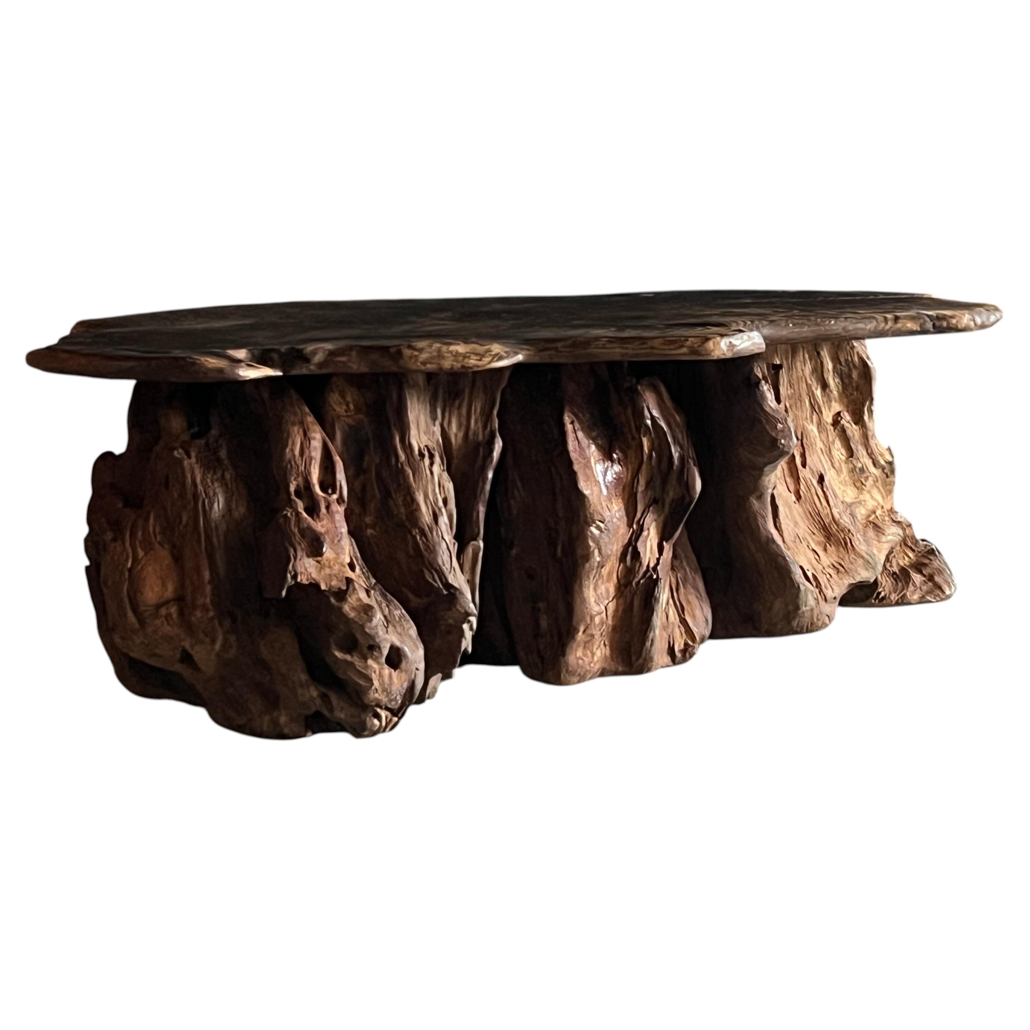 Japanese Antique Yakushima Cedar Table top・Root Low Table 1900s-1940s/Wabi Sabi