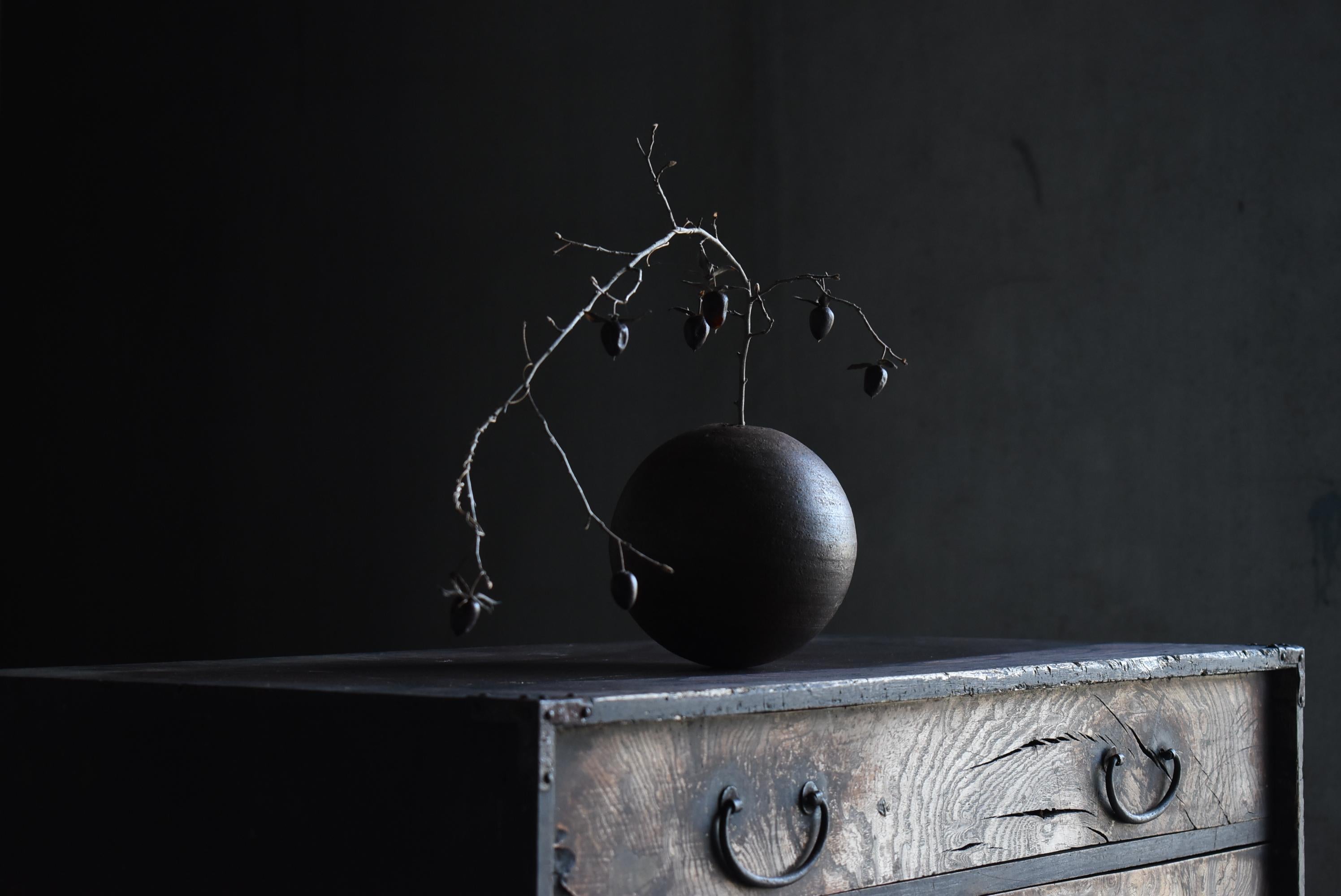 Cajón Japonés Antiguo de Madera de Zelkova Años 1860-1900 / Tansu Wabi Sabi 10