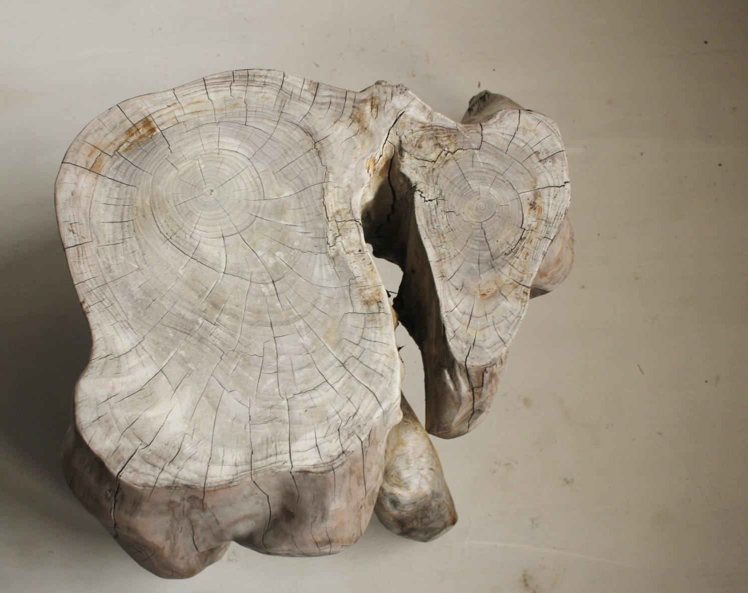 Japanese Antiques Tree Root Stand / Side Table Wabisabi Primitive Stool 8