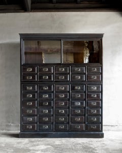 Japanese Apothecary Cabinet with Sliding Glass Doors, Early 20th century