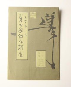 Japanese Art Yoshitoshi Tsukioka Woodblock print [No9 Shijo Noryo]  Ukiyoe