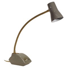 Japanese Ascent Gooseneck Table Lamp, 1970s.