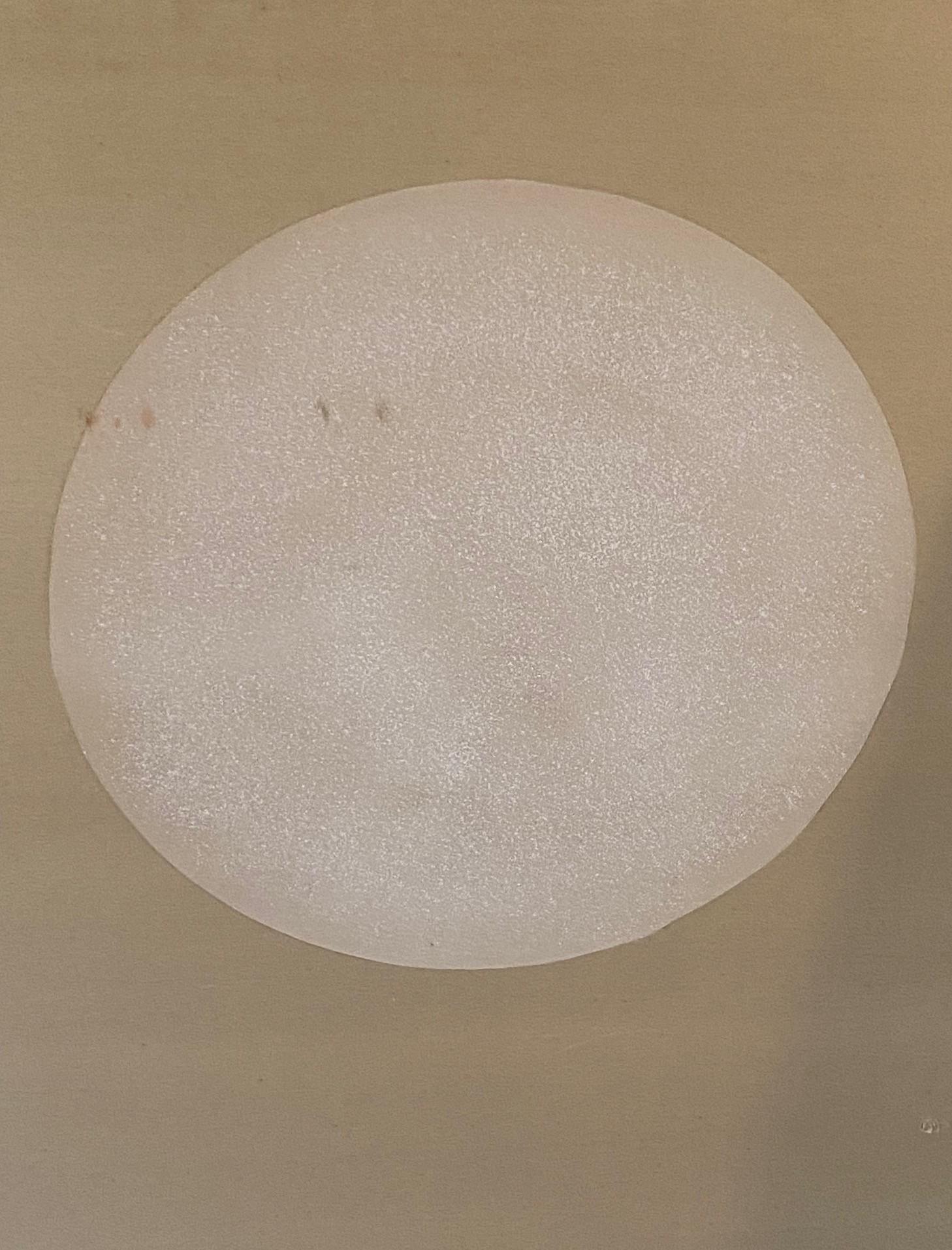 Japanische asiatische vier Panel Folding Byobu Bildschirm von weißen Kranichen und Vollmond im Angebot 3