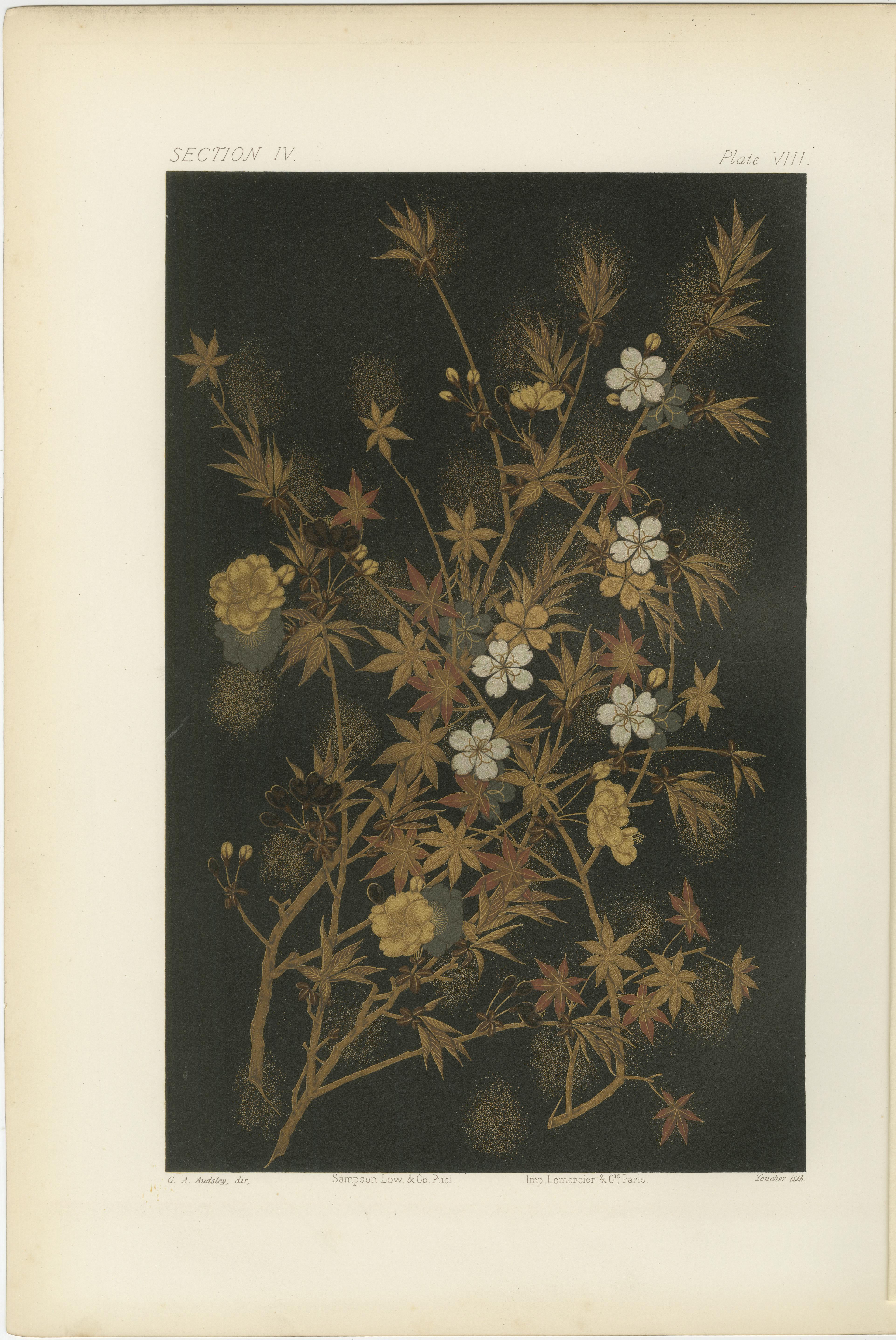 Japanische Herbst- und Frühlingsblumen: Antike Lithographie, 1880er Jahre im Angebot 2