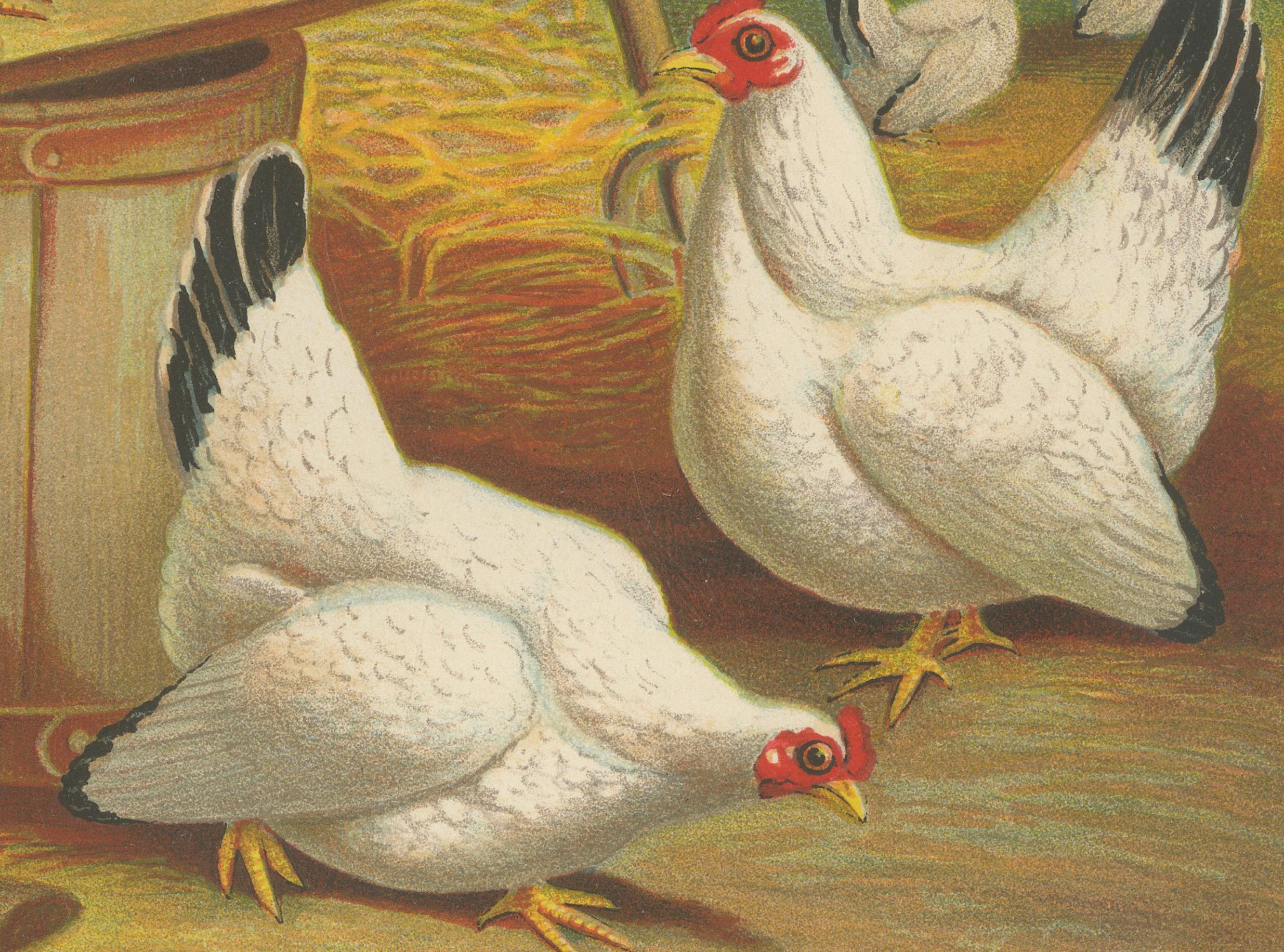Japanische Bantams mit schwarzen Schwänzen Eine seltene Geflügellithographie aus dem 19.  

Diese exquisite Chromolithografie aus dem 19. Jahrhundert mit dem Titel Japansche Krielhoenders met Zwarten Staart zeigt eine Gruppe japanischer Zwerghühner,