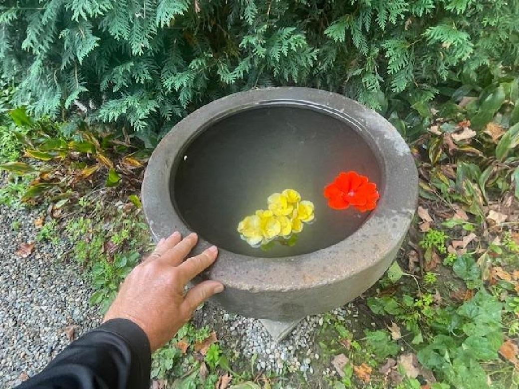 Magnifique bassin d'eau et jardinière en pierre ancienne japonaise Tsukubai, unique en vente 2