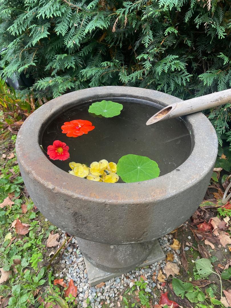 Pierre Magnifique bassin d'eau et jardinière en pierre ancienne japonaise Tsukubai, unique en vente