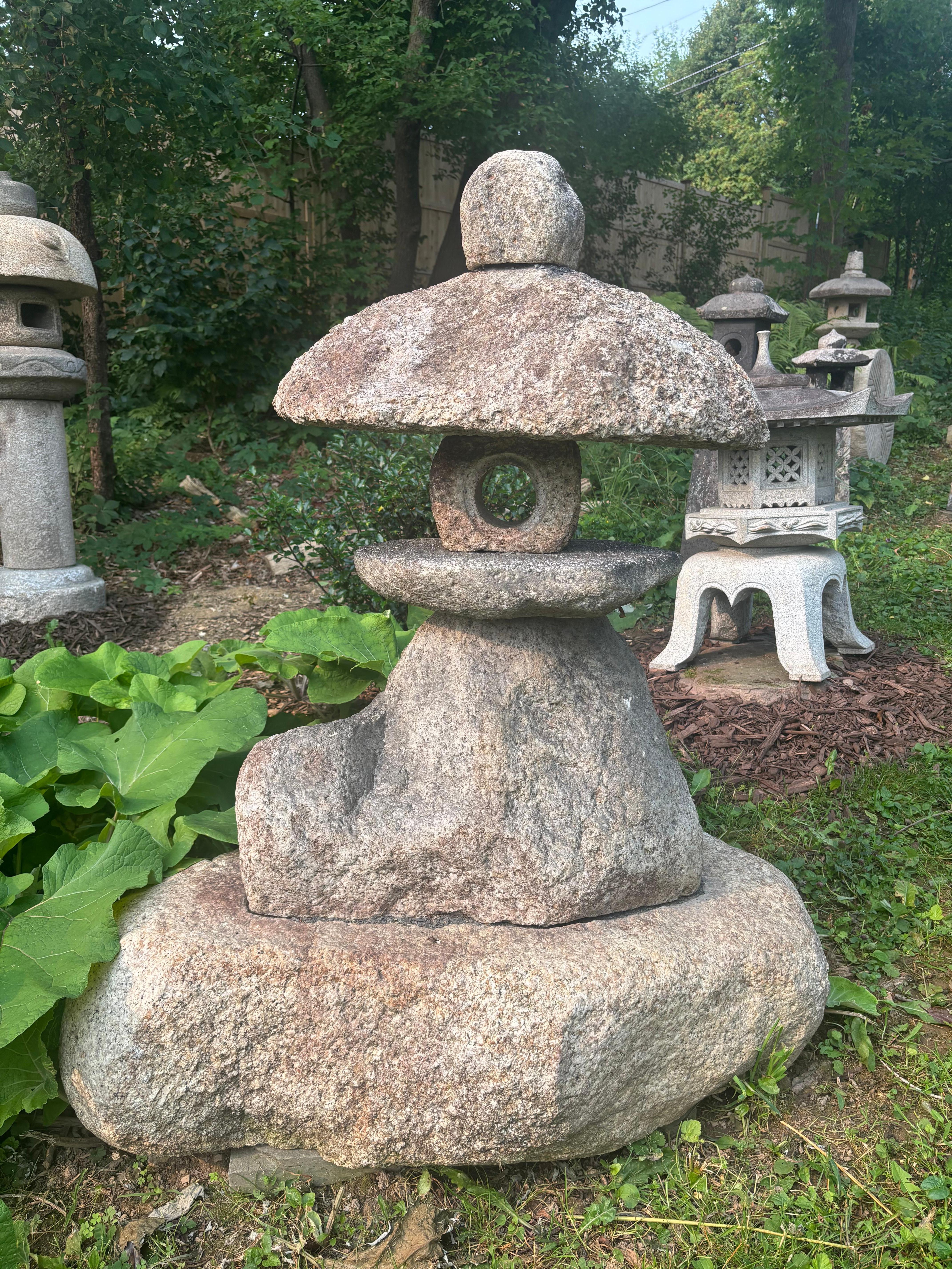 For your special garden - an especially  handsome 