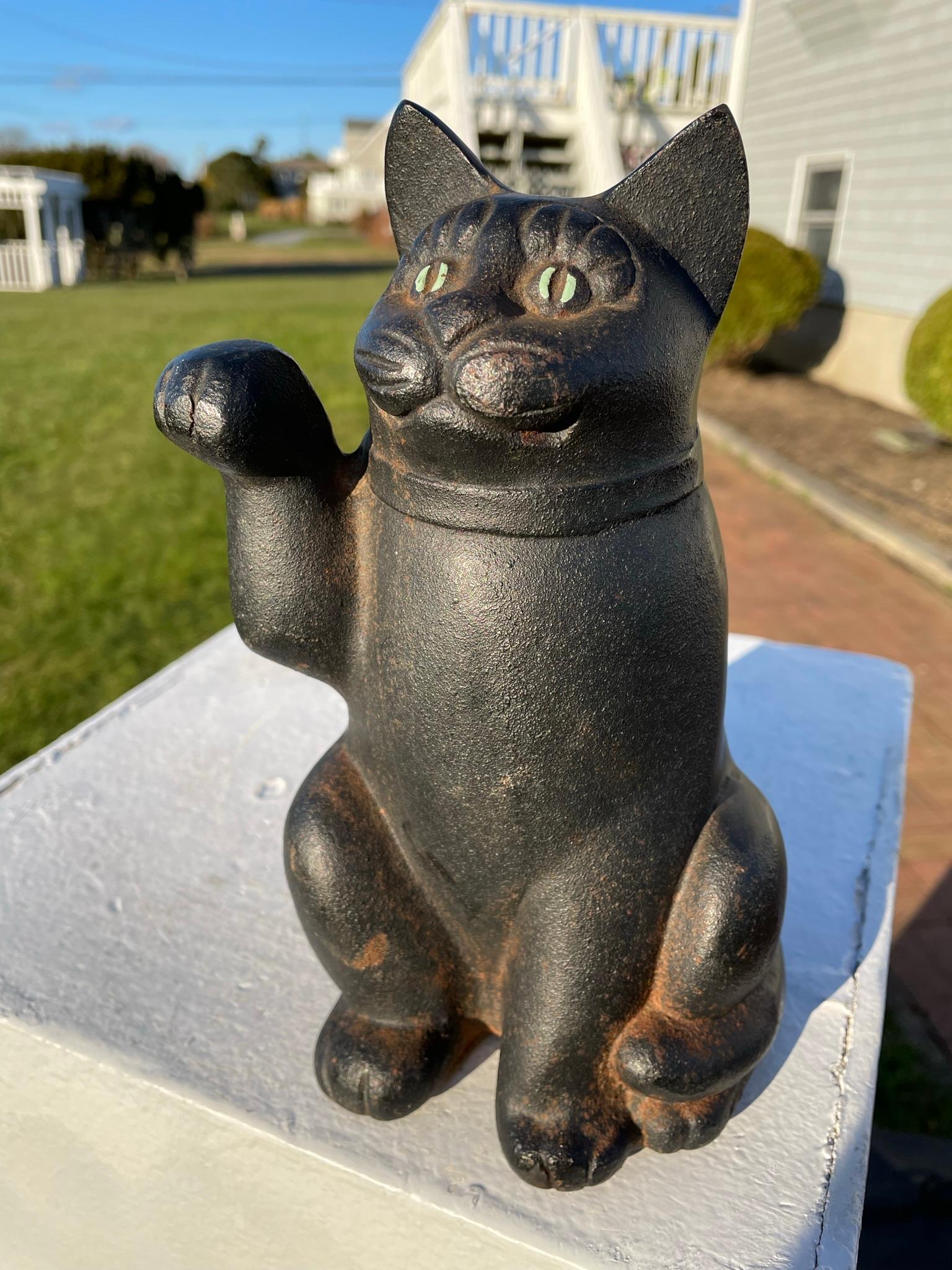 black cat with money