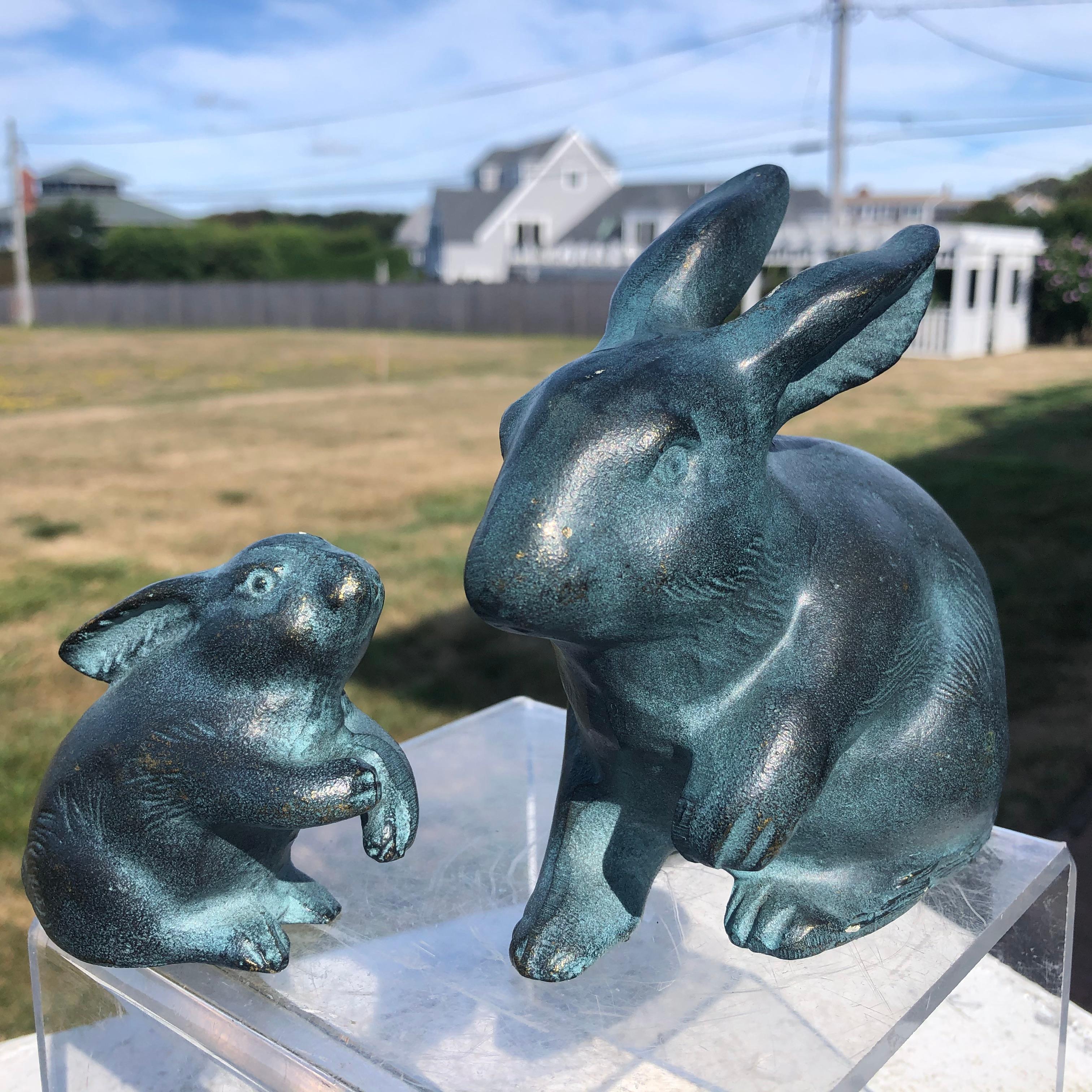  Japanese Big Blue Rabbits  10
