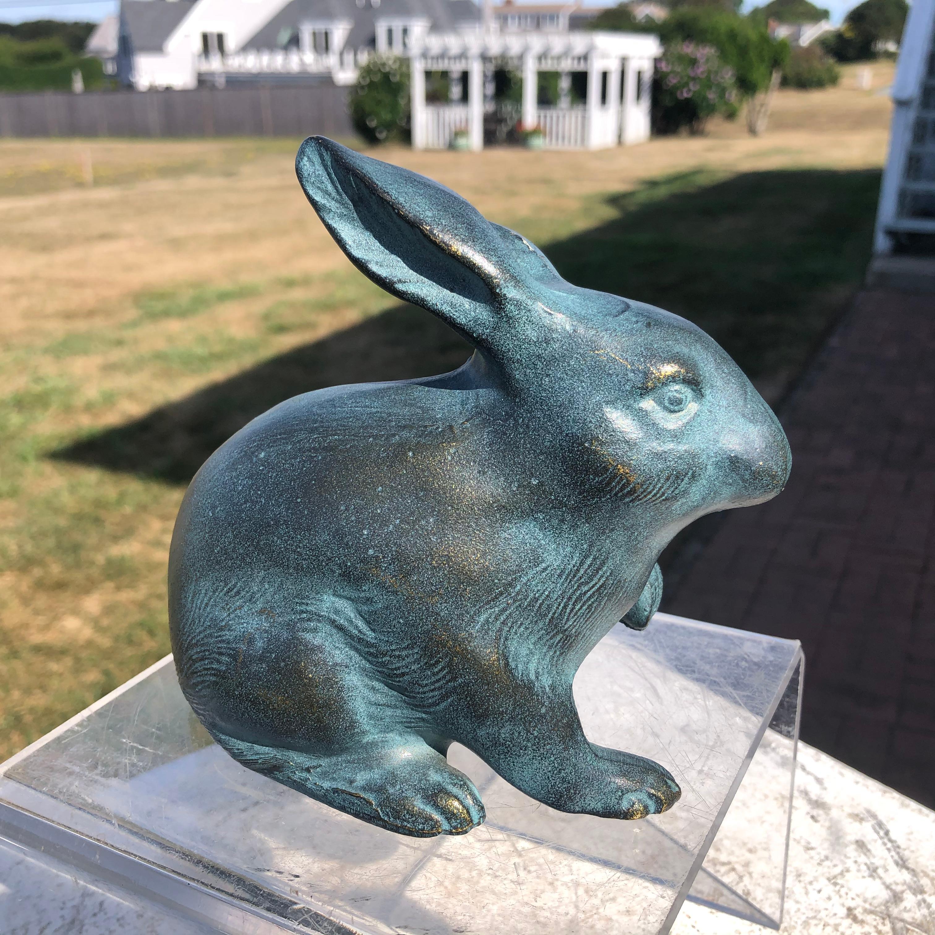  Japanese Big Blue Rabbits  1