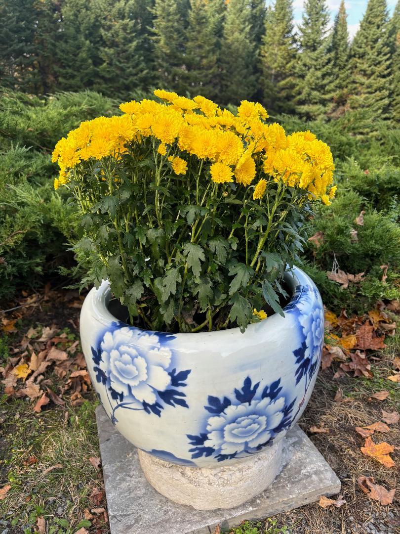 Glazed Japanese Big Brilliant Blue And White Flowers Planter Bowl