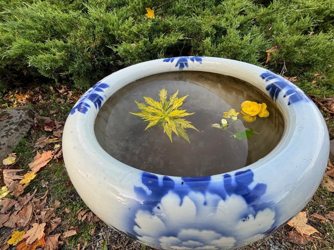 Japanese Big Brilliant Blue And White Flowers Planter Bowl In Good Condition For Sale In South Burlington, VT
