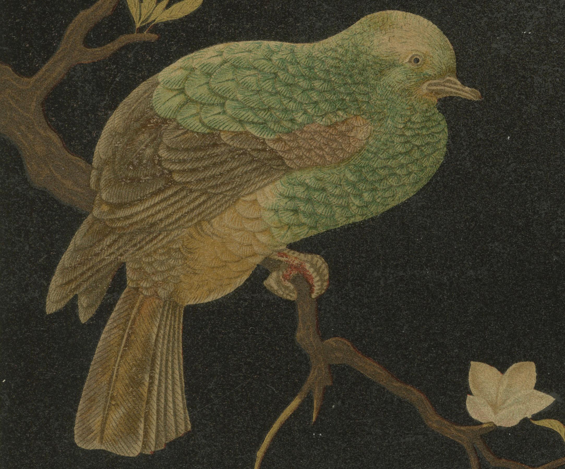 Plateau japonais en laque avec oiseaux et fleurs : Lithographie ancienne, années 1880 Excellent état - En vente à Langweer, NL