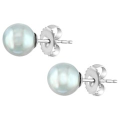 Japanese Blue Akoya Pearl Stud Earrings 14 Karat White Gold