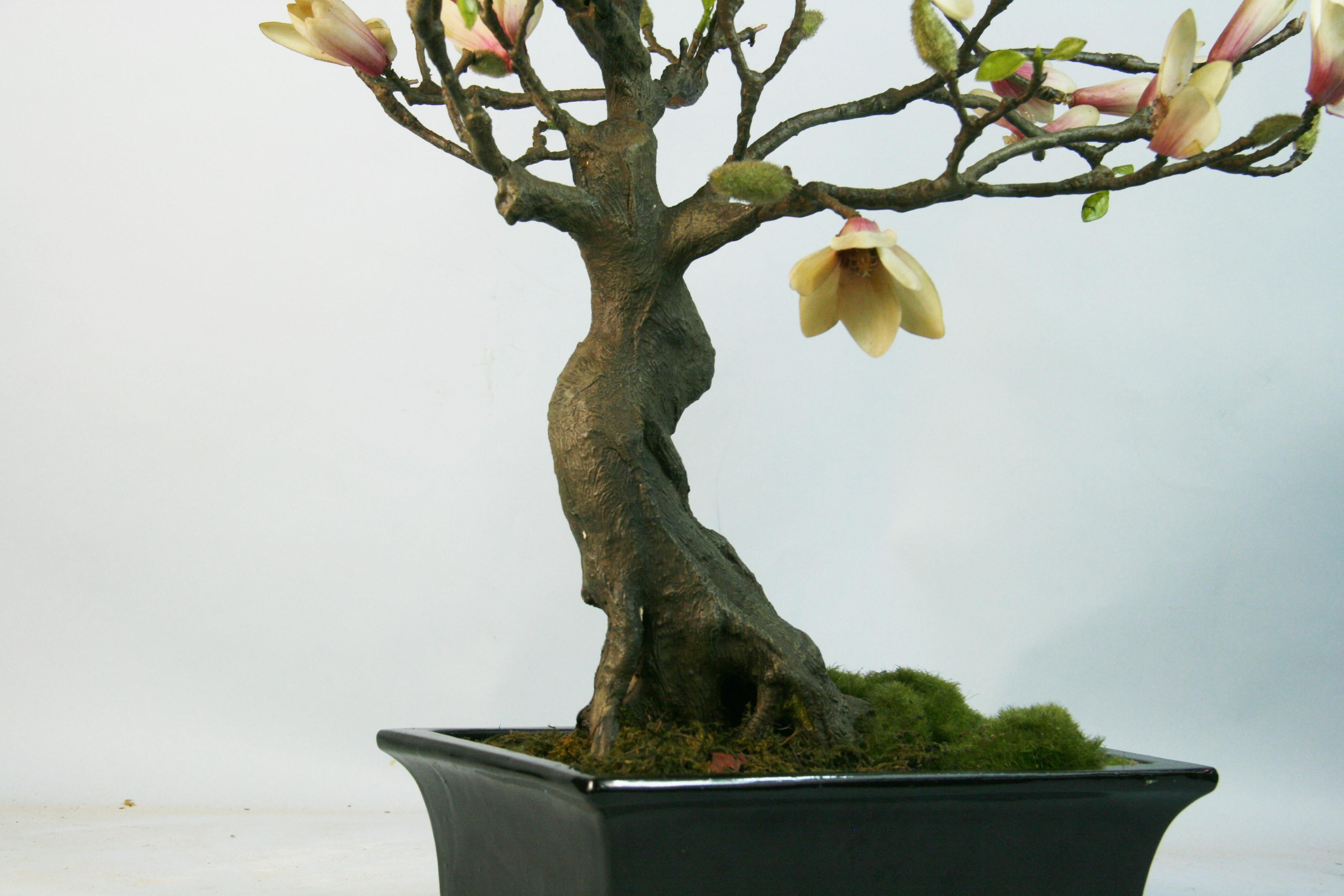 Japanische Bonsai-Blumenverzierung aus Japan im Angebot 8
