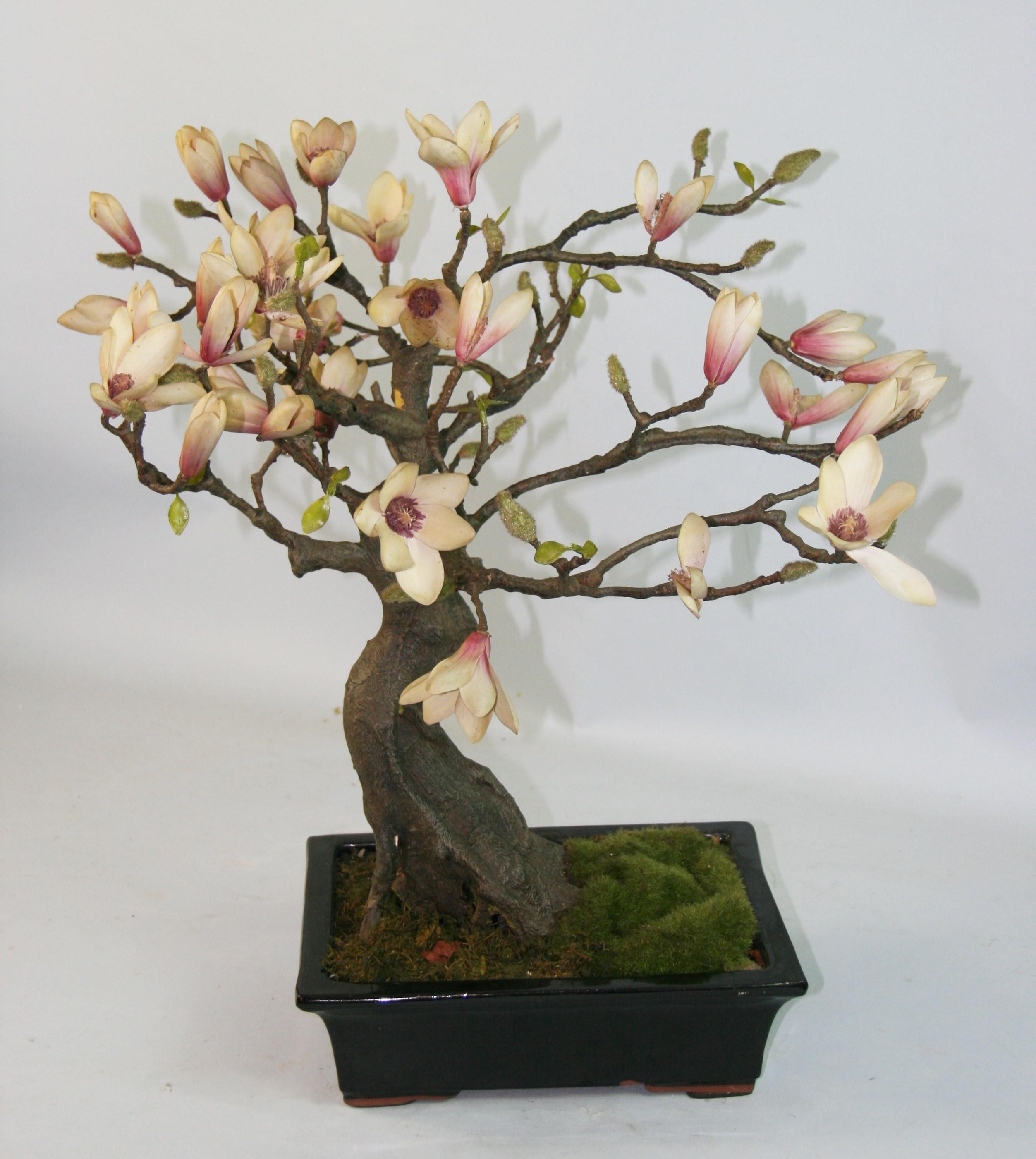 1543 Japanese Bonsai flower arrangement in ceramic container.
Flowers are made of a fabric coated with a rubberized flexible substance.
Moss is covering the ceramic container.
Trunk is covered in the same rubberized substance