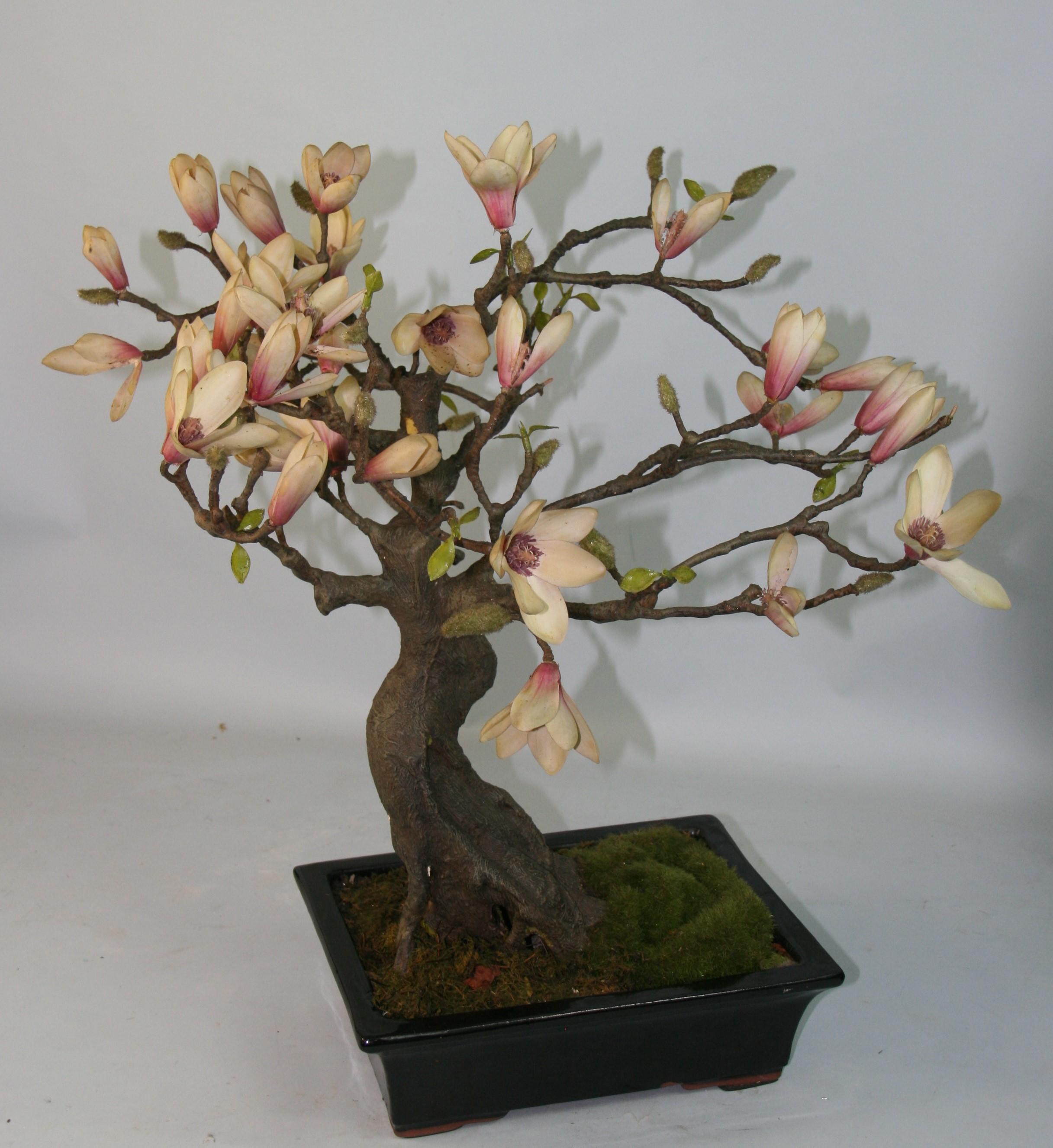 Japanese Bonsai Flower Arrangement In Good Condition For Sale In Douglas Manor, NY
