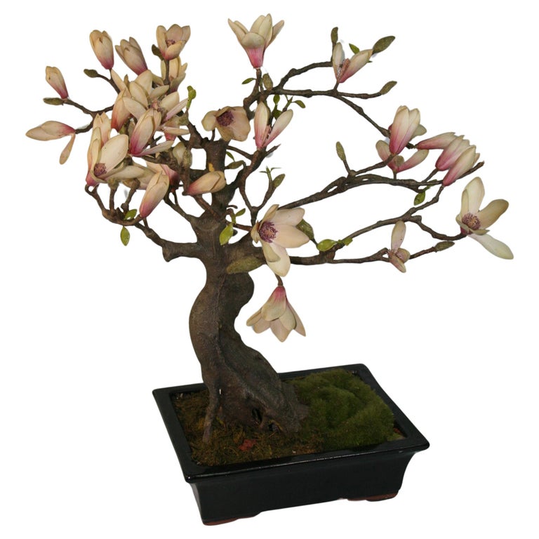 Japanese Bonsai - 54 For Sale on 1stDibs | antique japanese bonsai pots for  sale, vintage japanese bonsai pots, japan bonsai
