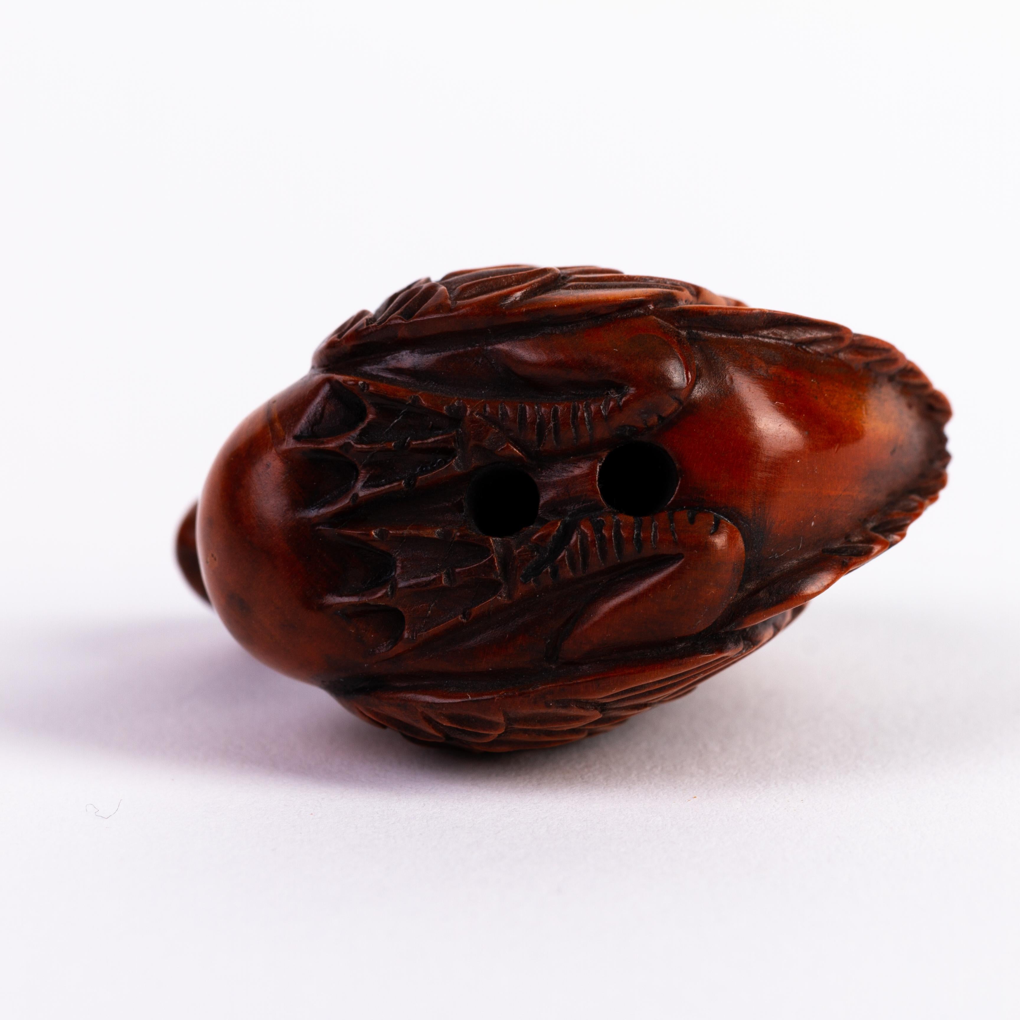 Buis Netsuke Swan en buis japonais
