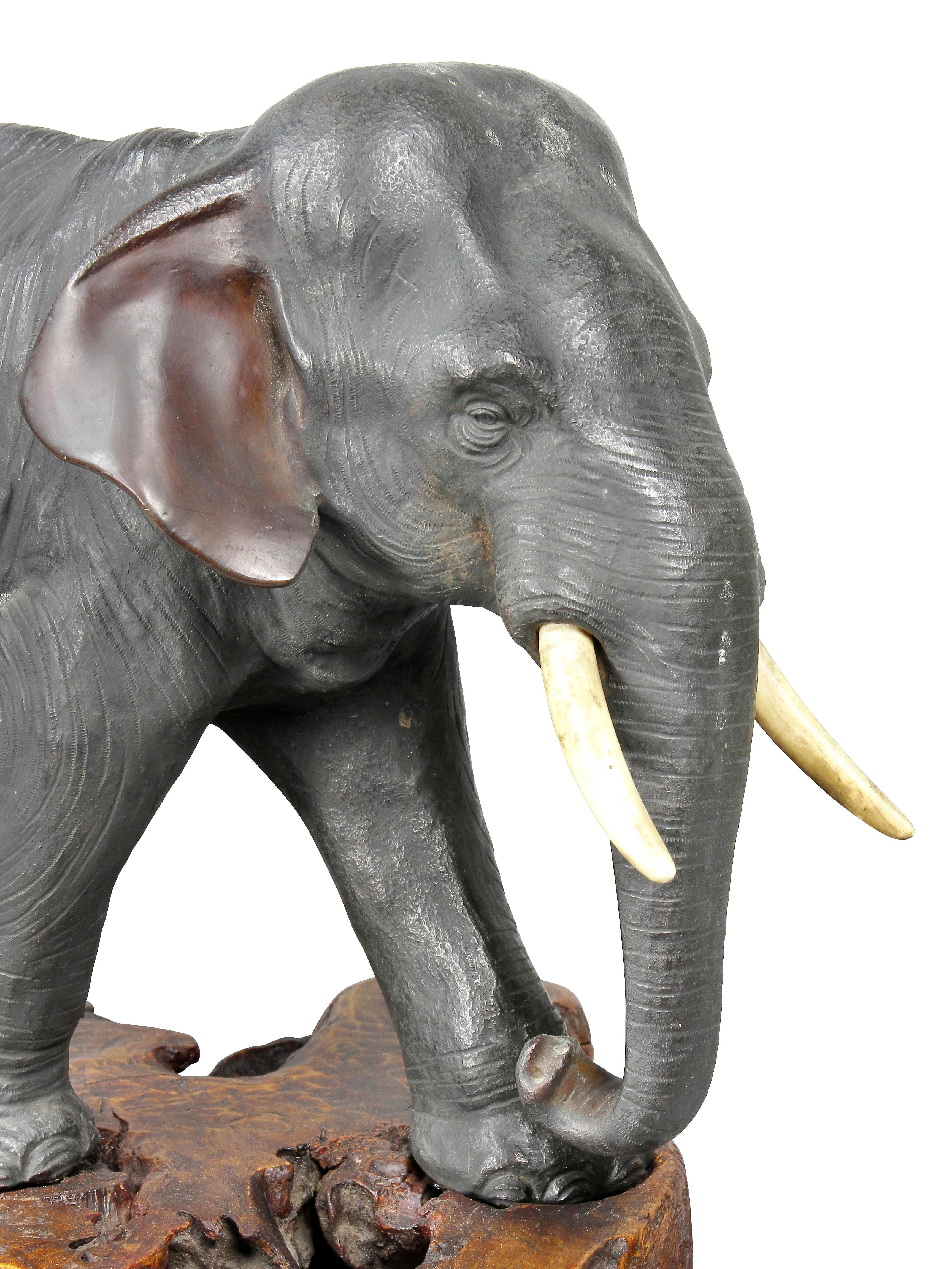Standing elephant on a root wood base.