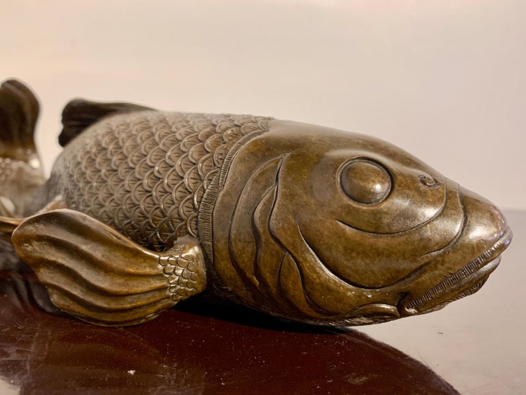 Japanese Bronze Okimono of a Carp, Taisho Period, Early 20th Century, Japan For Sale 6