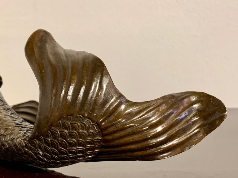 Japanese Bronze Okimono of a Carp, Taisho Period, Early 20th Century, Japan For Sale 14