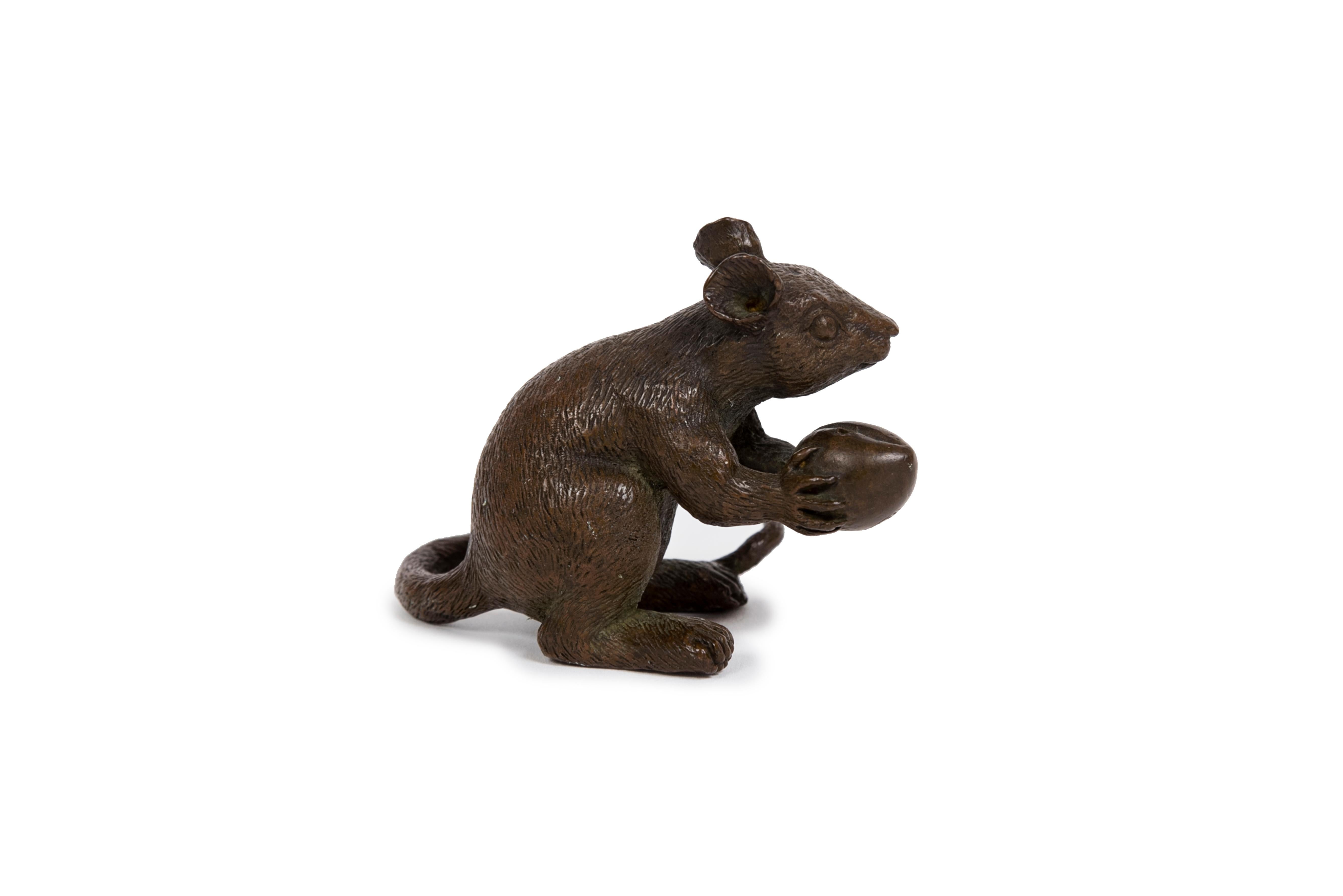 Si tratta di una scultura in bronzo molto convincente di un topo con una patina marrone chiaro, rappresentato con una serie sorprendente di dettagli su occhi, naso e pelliccia. È seduta sulle zampe posteriori e tiene una nocciola sulle zampe