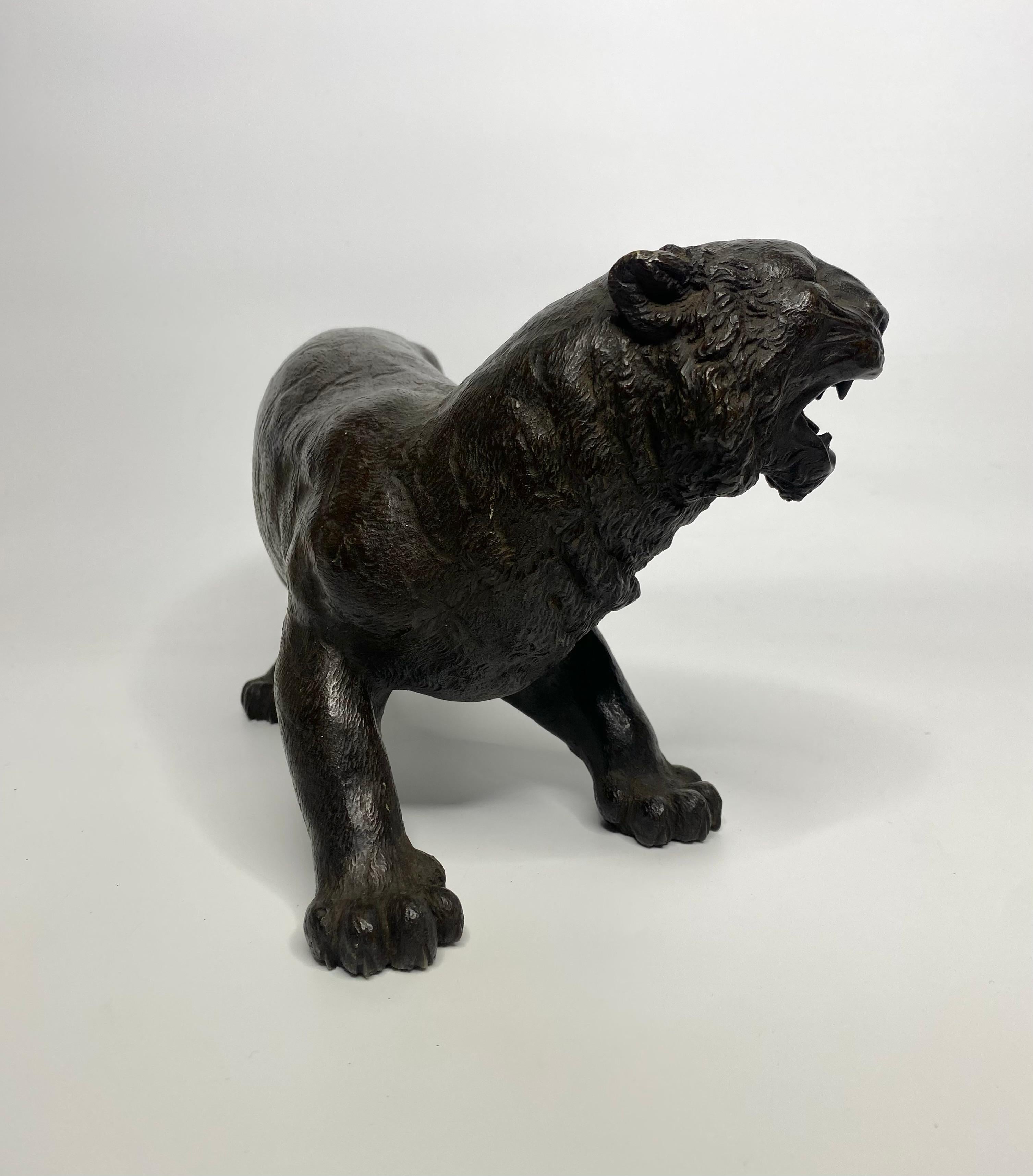 Late 19th Century Japanese bronze tiger, signed Yoshikuza, Meiji Period.