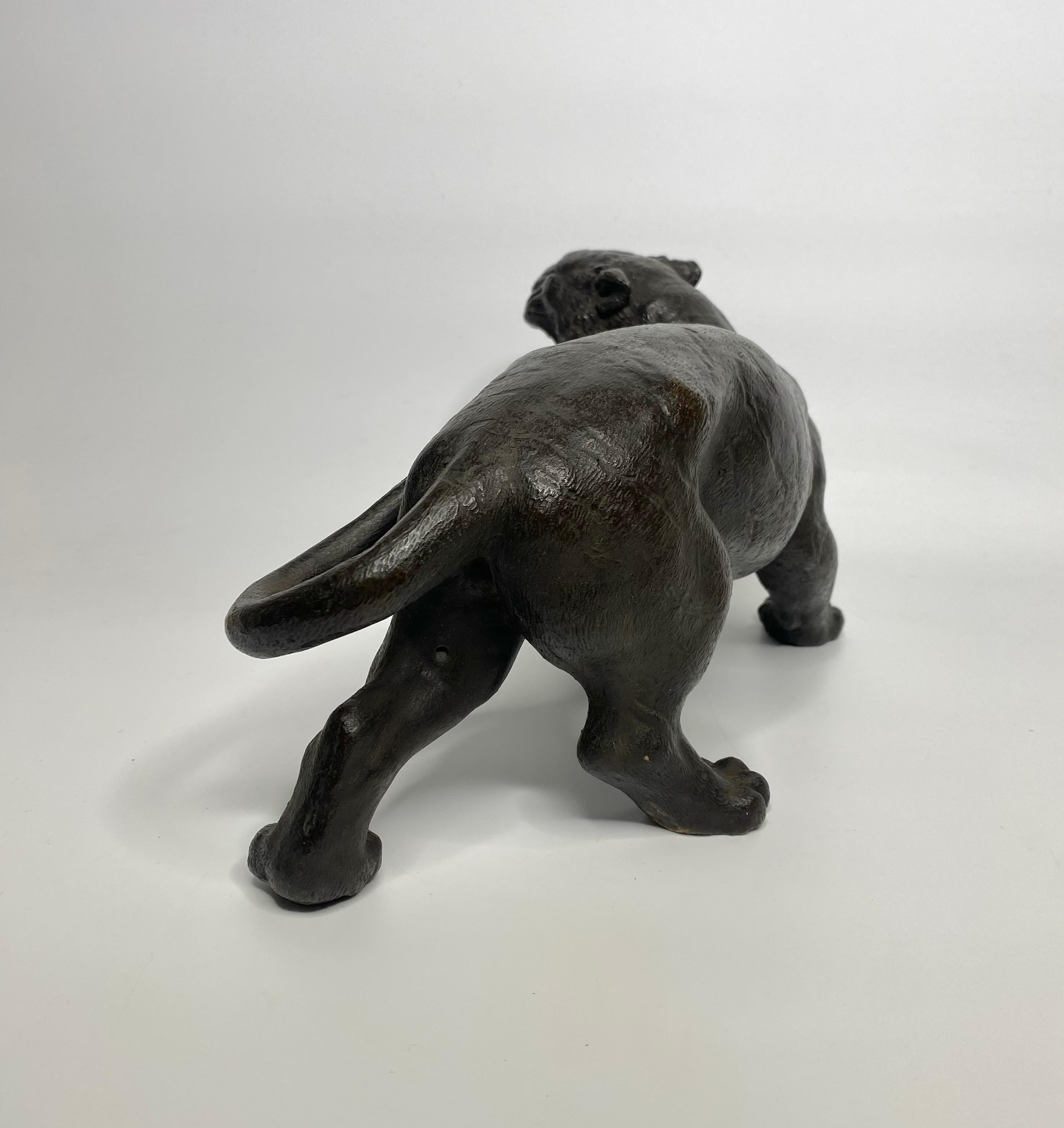 Japanese bronze tiger, signed Yoshikuza, Meiji Period. 1