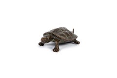 Japanese bronze okimono turtle (sculpture)