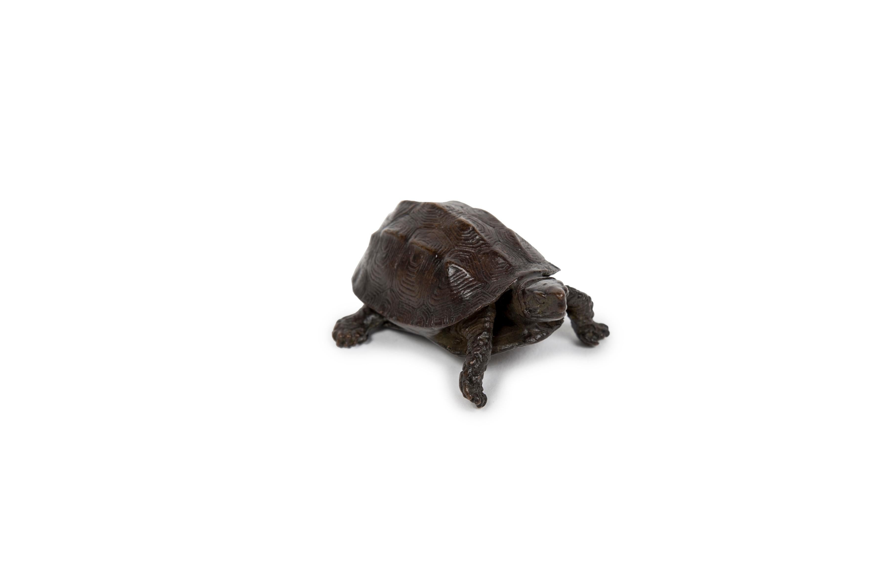 Cast Japanese bronze okimono turtle (sculpture) For Sale