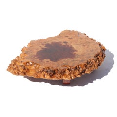 Japanese Burl Display Stand