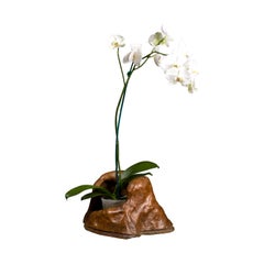 Japanese Burlwood Container