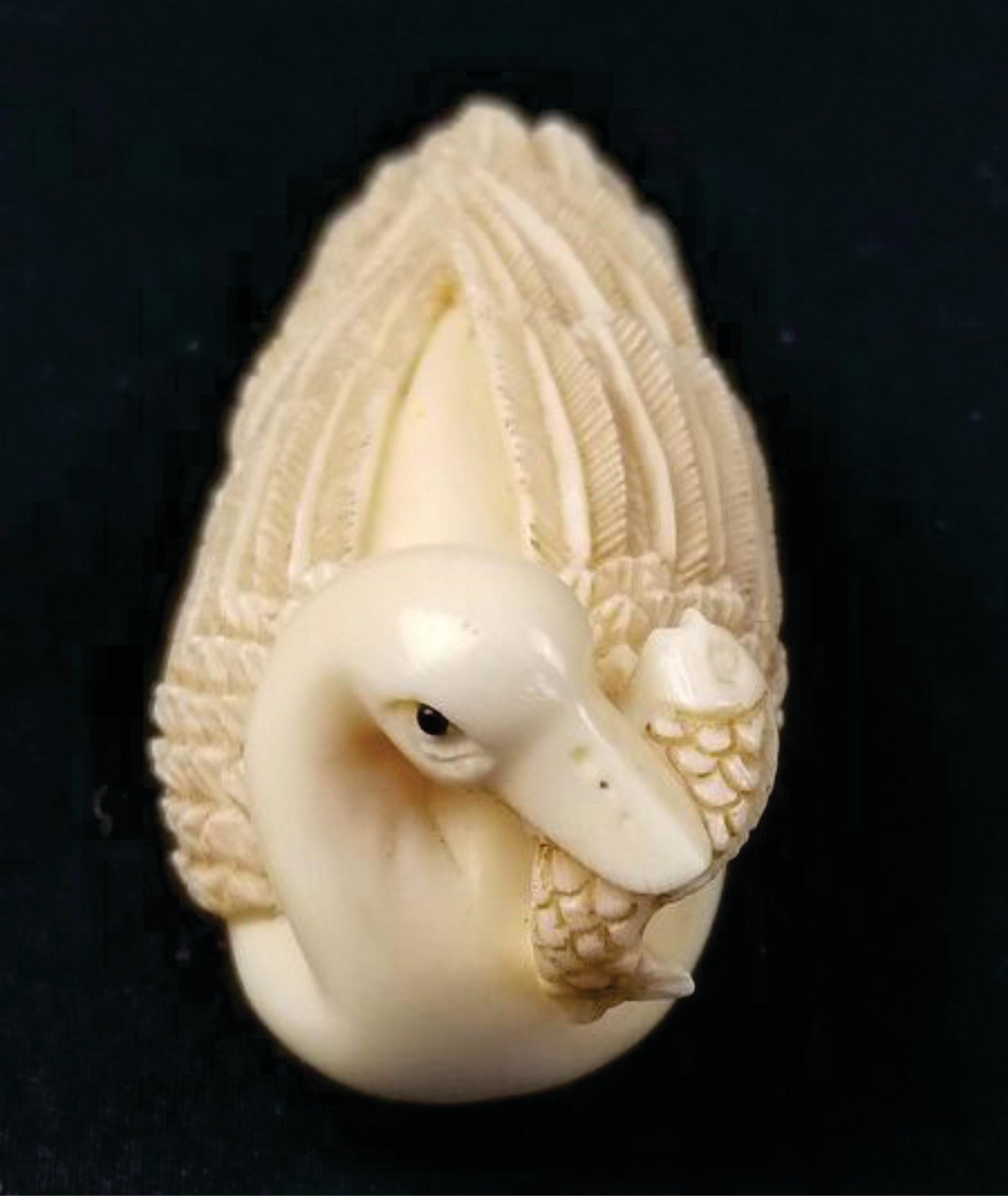 Japanese Carved Netsuke A Goose Biting a Fish-Signed by Tomotada, Meiji  For Sale 4