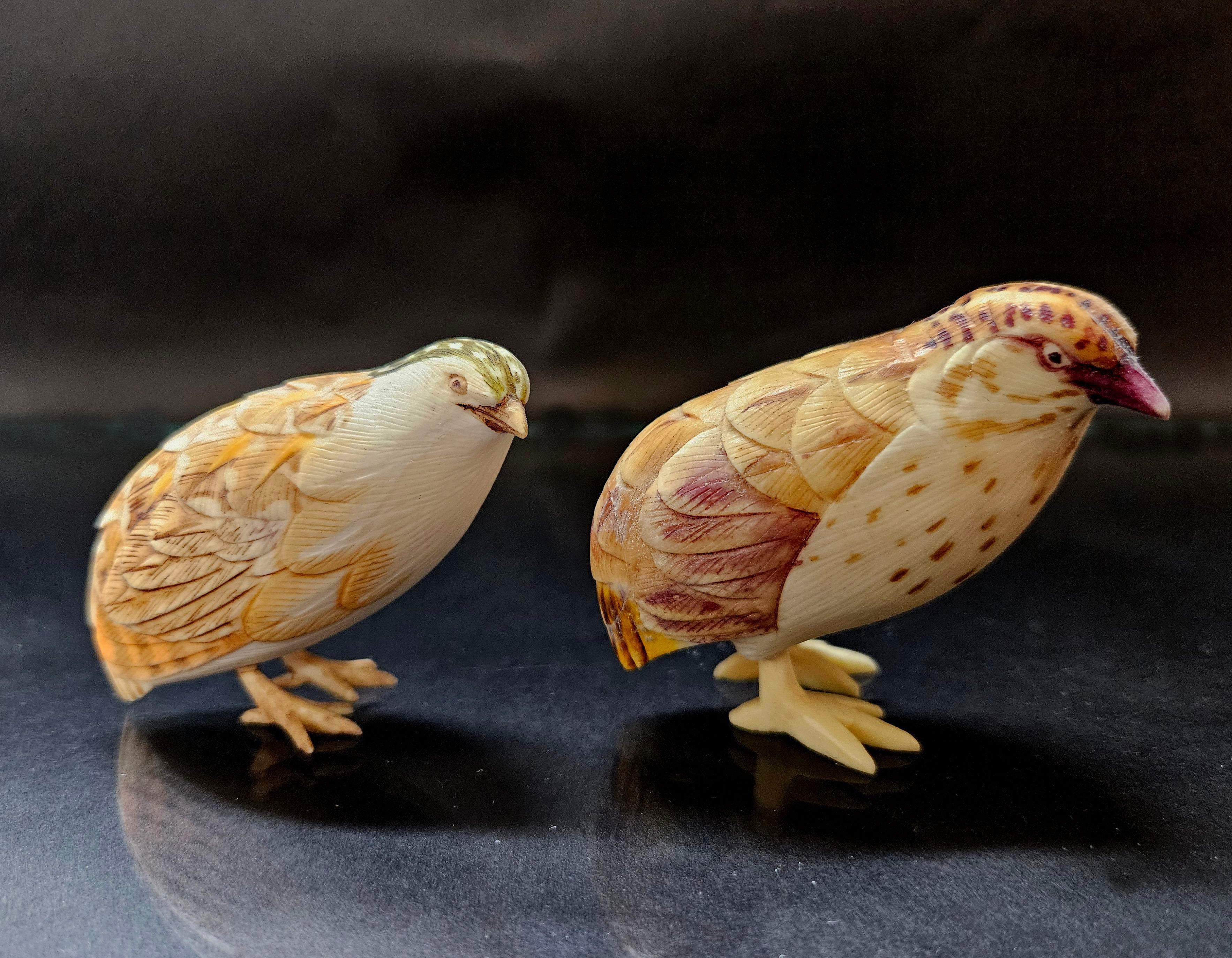 Japanese Carved Okimono Polychrome Birds, Signed by Tenzan (天山) on the bottom, Meiji Period.
A truly hand-carved ivory figure with fine craftsmanship in a detailed carving

Dimension:
Large: 2.75