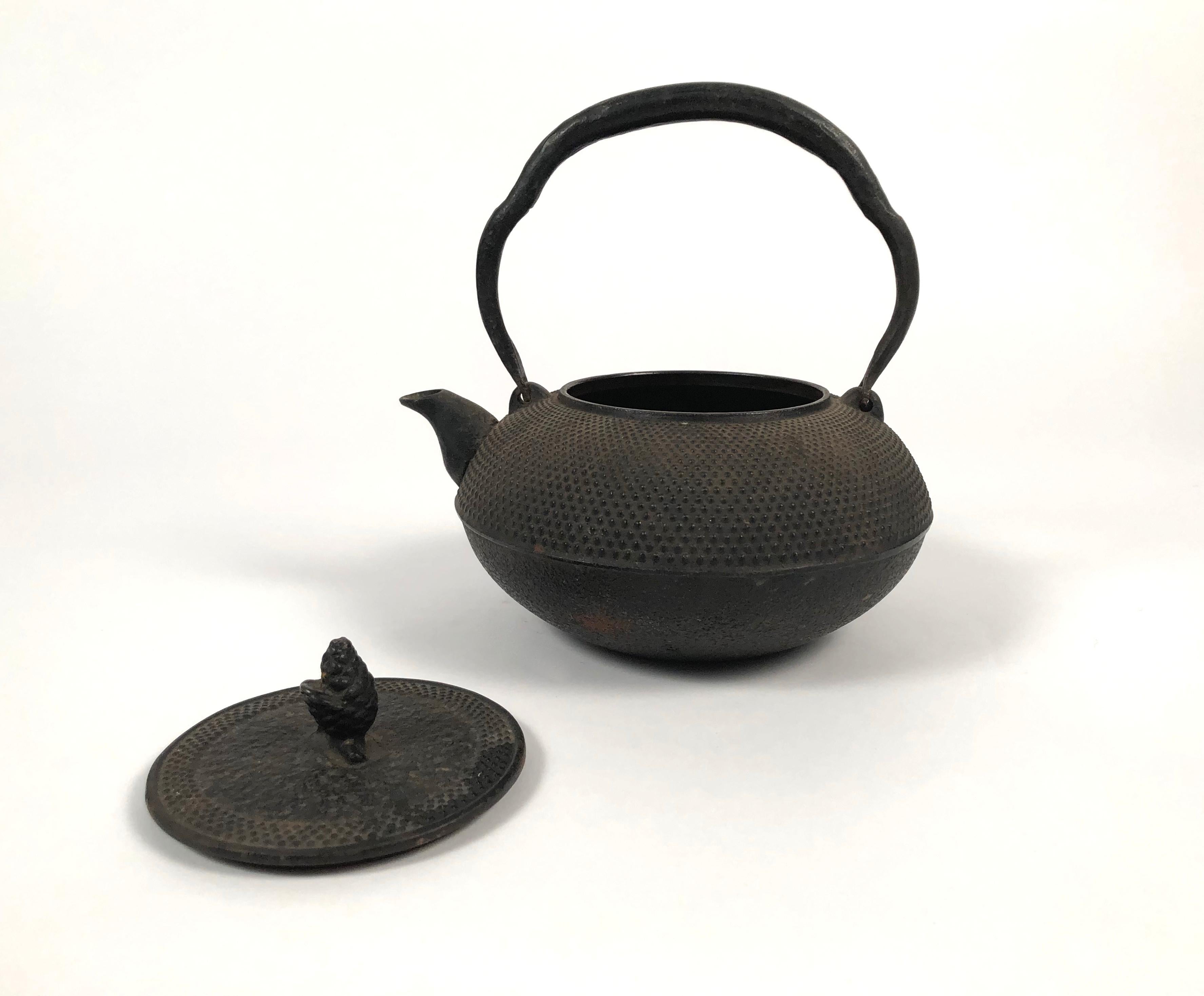 nanbu teapot