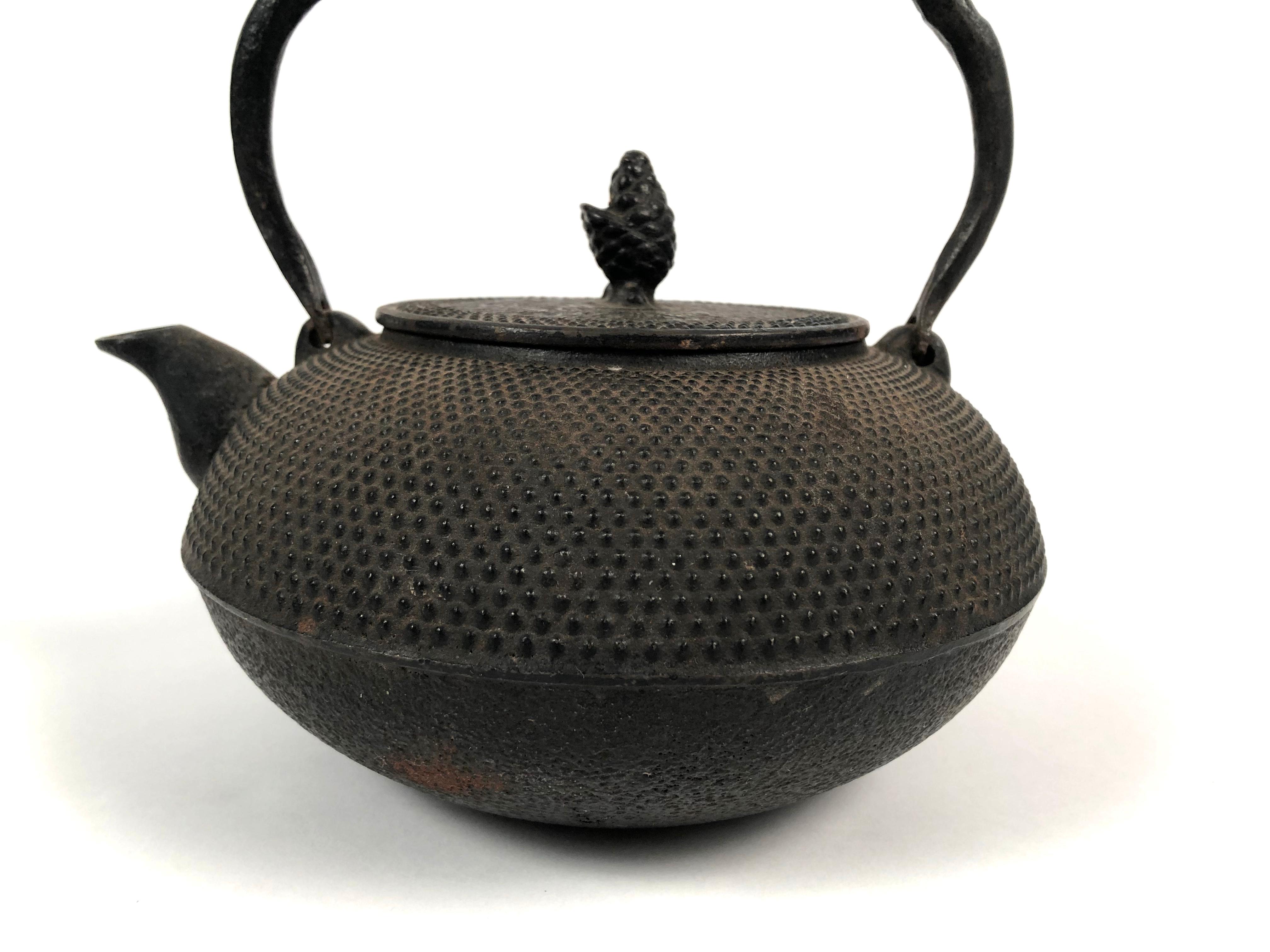 Early 20th Century Japanese Cast Iron Nanbu Tekki Teapot