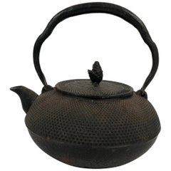 Japanese Cast Iron Nanbu Tekki Teapot