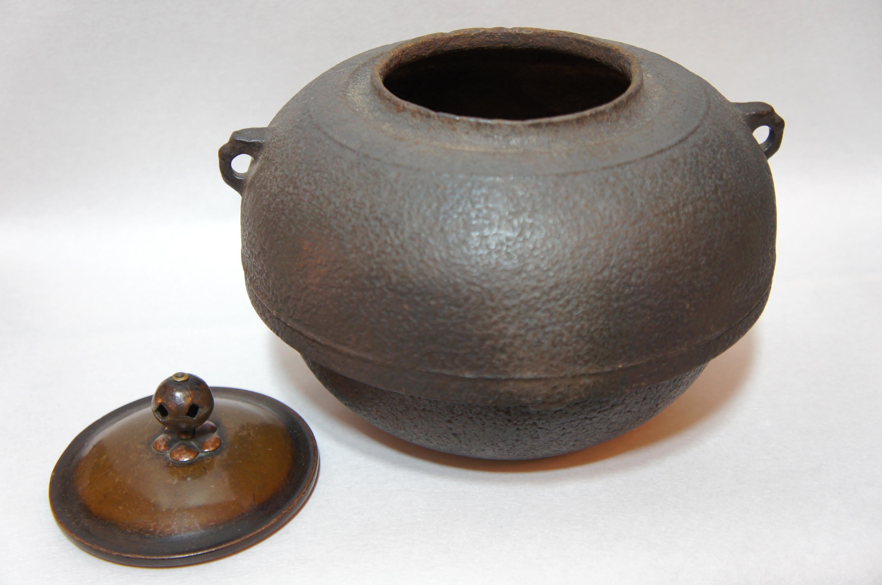 Hand-Crafted Japanese Cast Iron Tea Kettle for Tea Ceremony, Chagama, 1950s For Sale