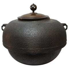 Used Japanese Cast Iron Tea Kettle for Tea Ceremony, Chagama, 1950s