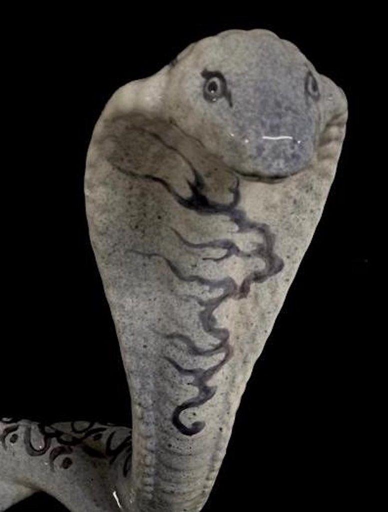 This Japanese Ceramic Cobra is a unique decorative object realized by Luca Mamone in the 2010s.

This item is extraordinarily hand painted with a unique skill. Original handmade ceramic portraying a cobra. On the snake's skin is painted the