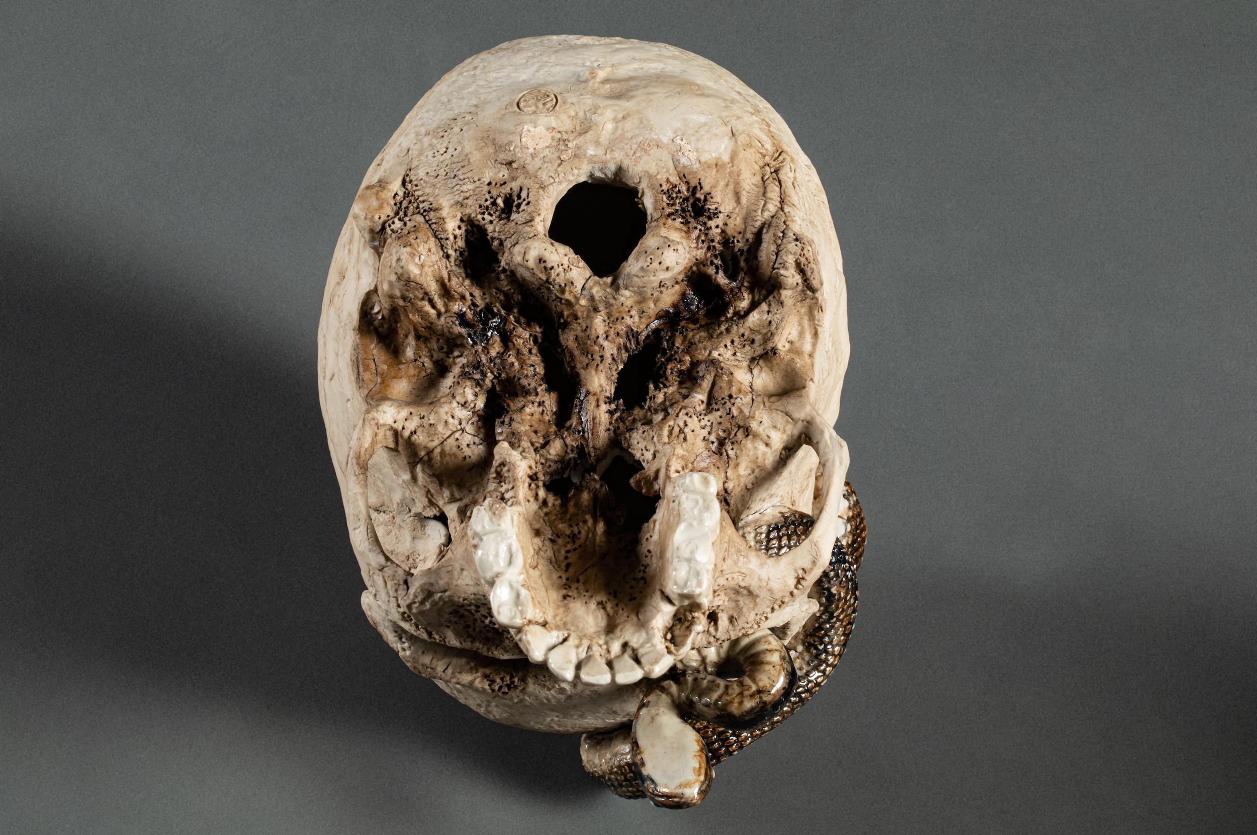 Japanese Ceramic Form of a Human Skull with a Snake For Sale 8